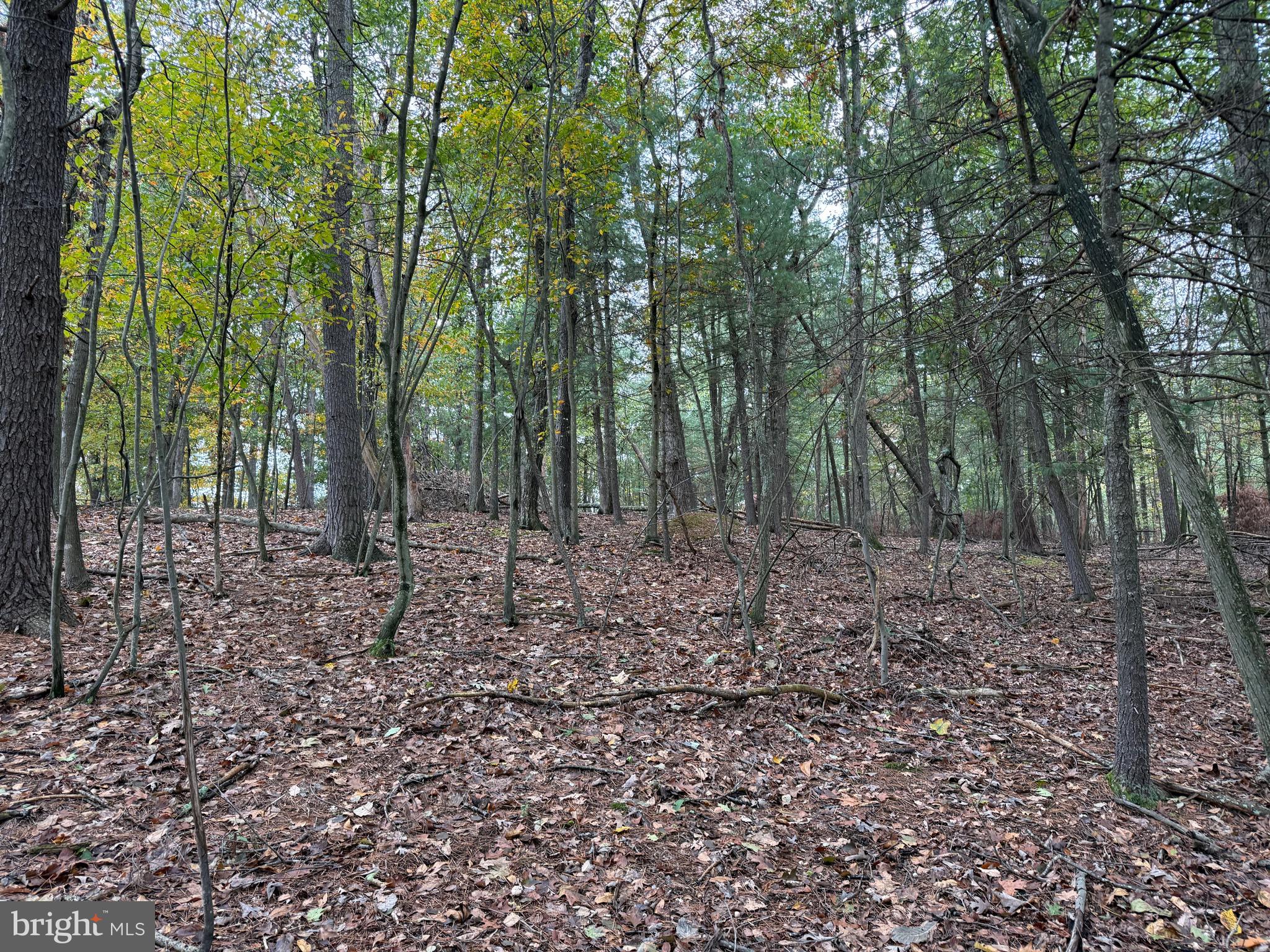 NONE AVAILABLE - Land