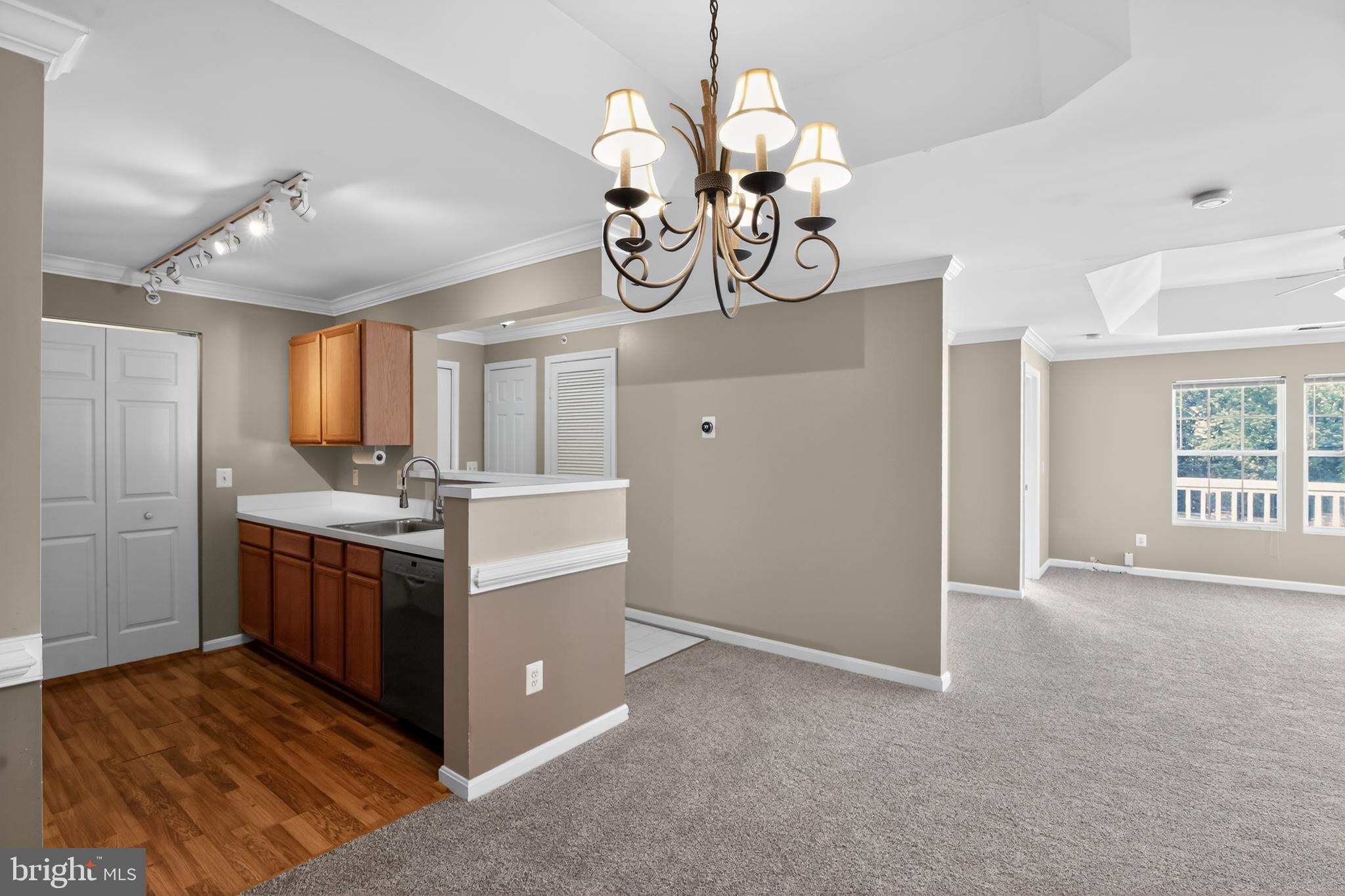 PROSPECT COVE AT LAKESID - Residential