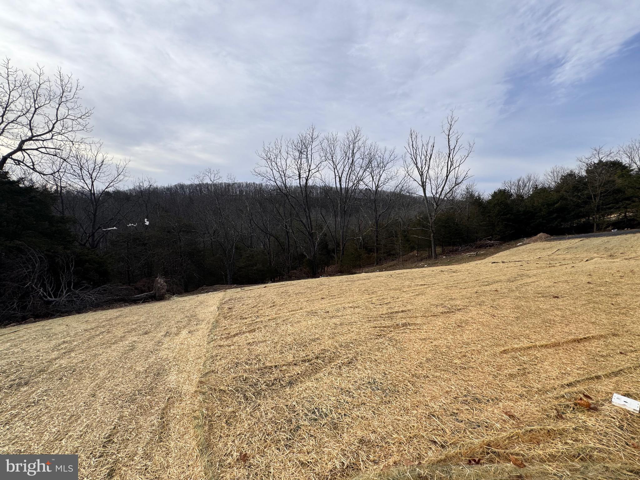 THE POINT - Residential