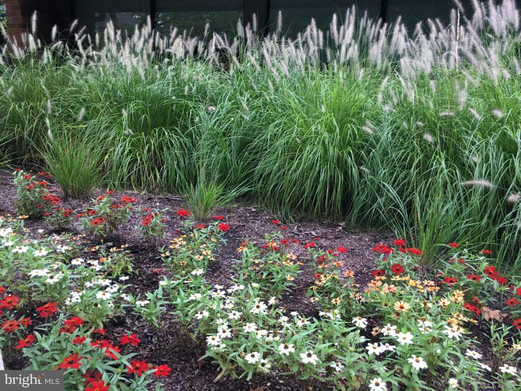 HERITAGE HARBOUR - Residential