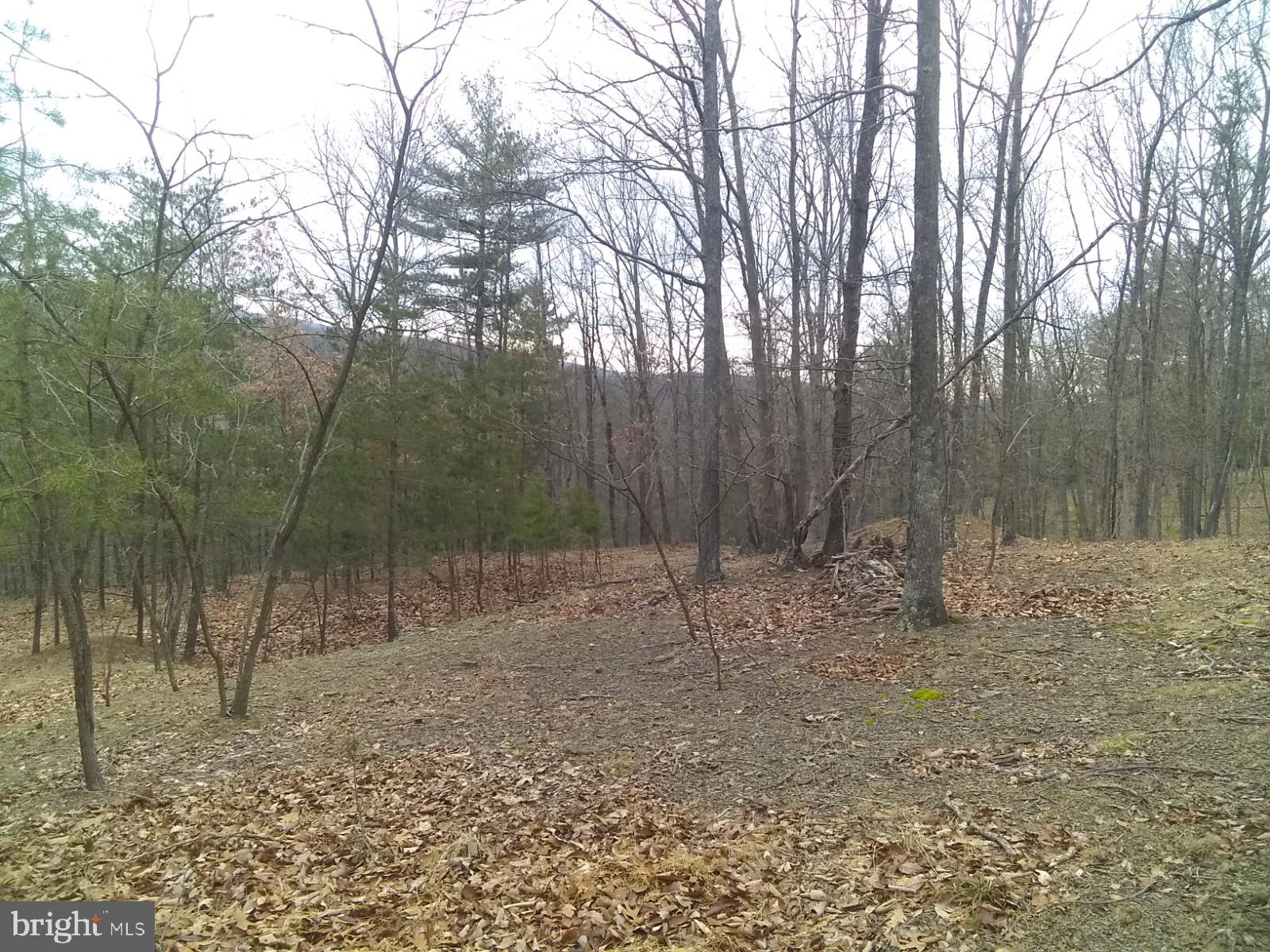 NONE AVAILABLE - Land