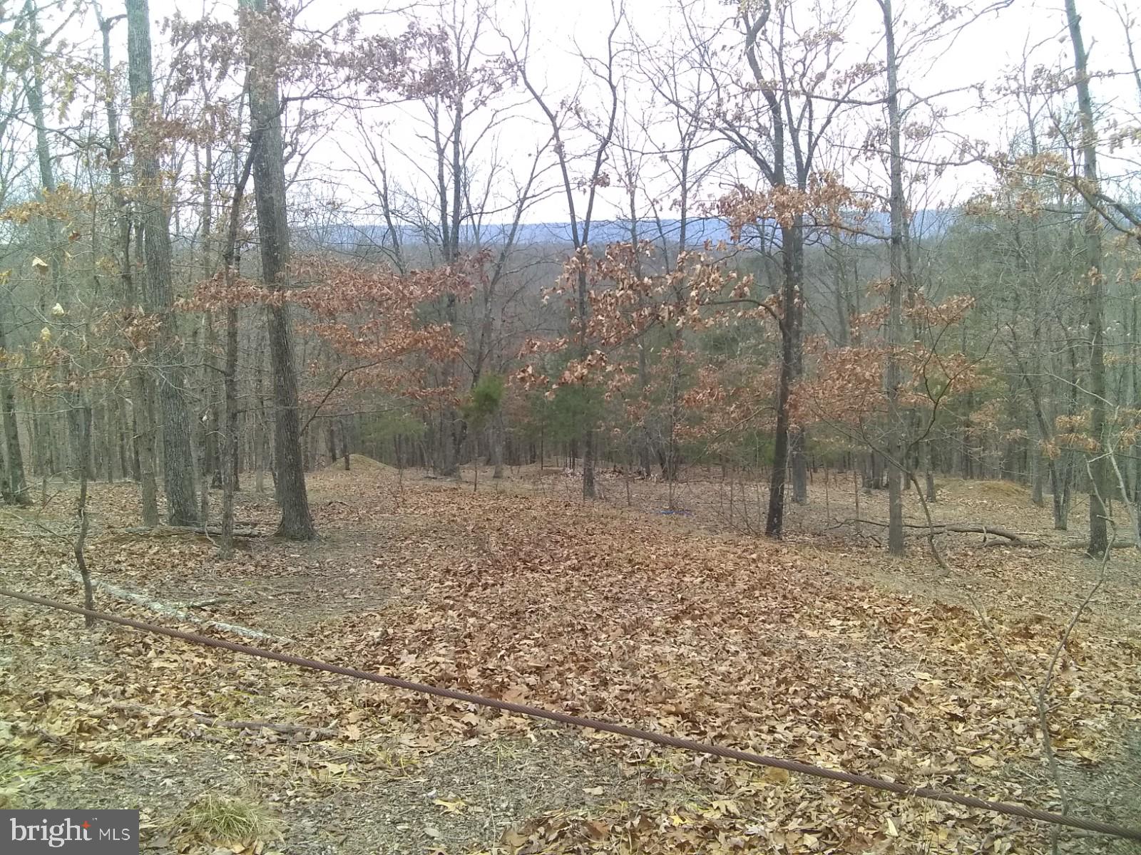 NONE AVAILABLE - Land