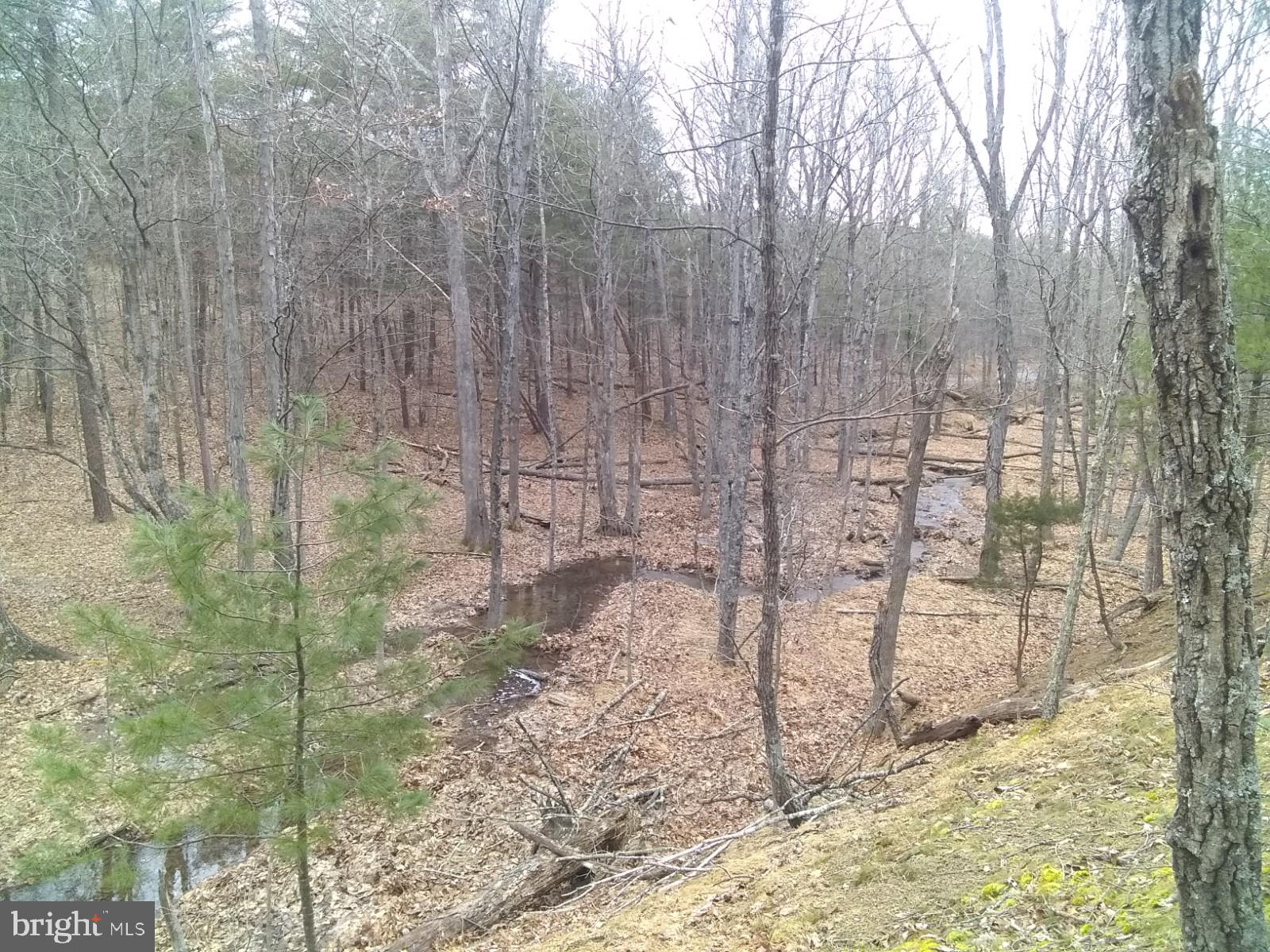 NONE AVAILABLE - Land