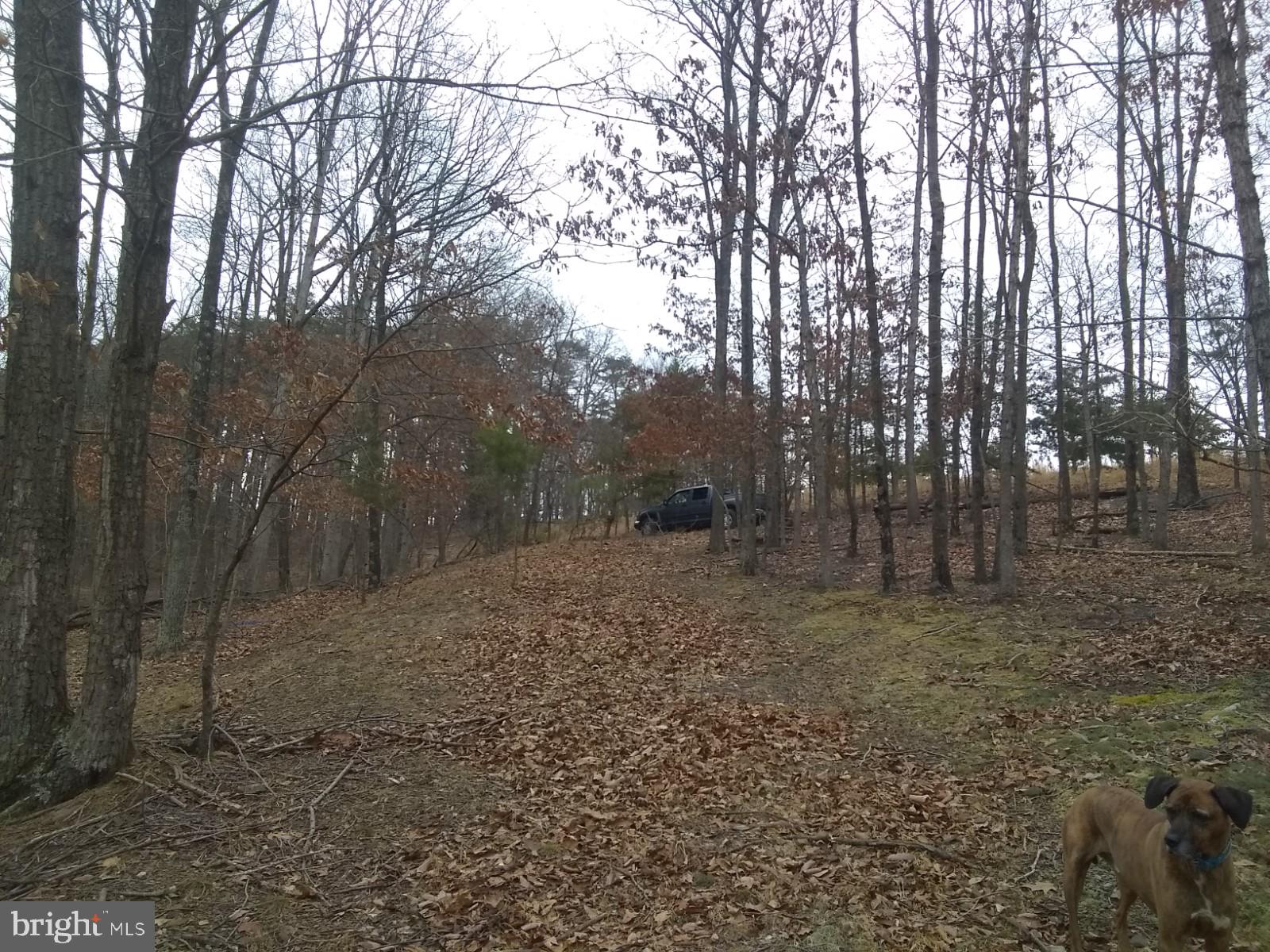 NONE AVAILABLE - Land