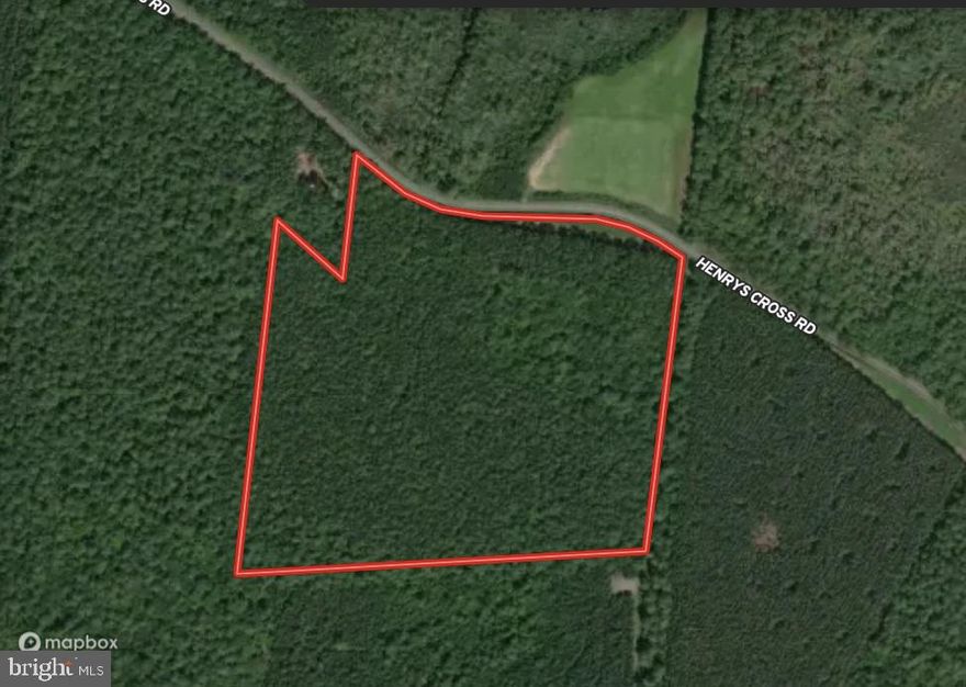 Incredible sika hunting property!