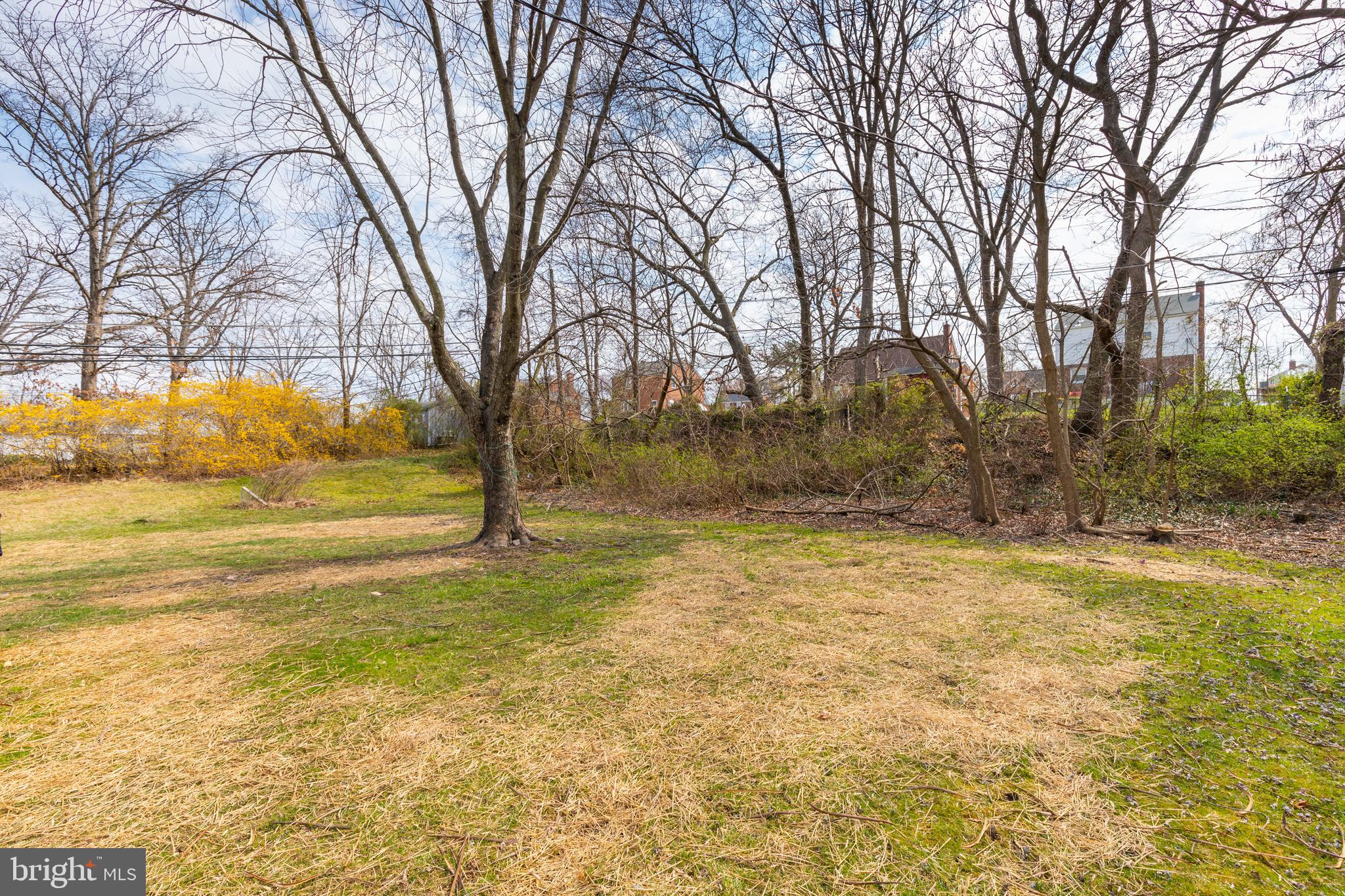 BELMAR - Residential