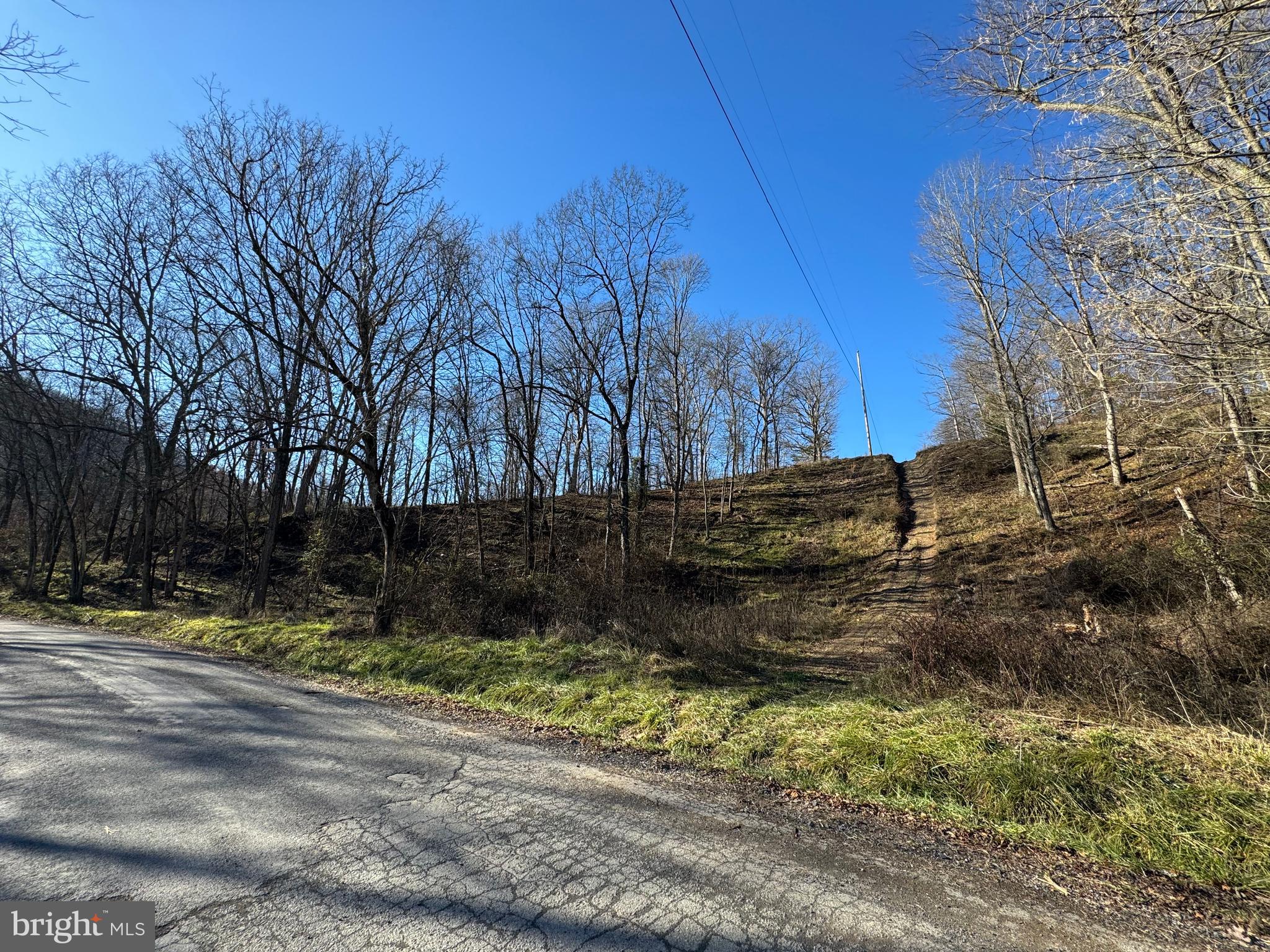 This 3.91 acre corner lot is UNRESTRICTED with a small seasonal stream along the road, and just a few hundred feet from access to the Potomac River. A perfect setting for your dream home or vacation getaway spot. Bring your camper or trailer for the weekend getaway or long term, or build to your desire as it's unrestricted and you can do what you want!
