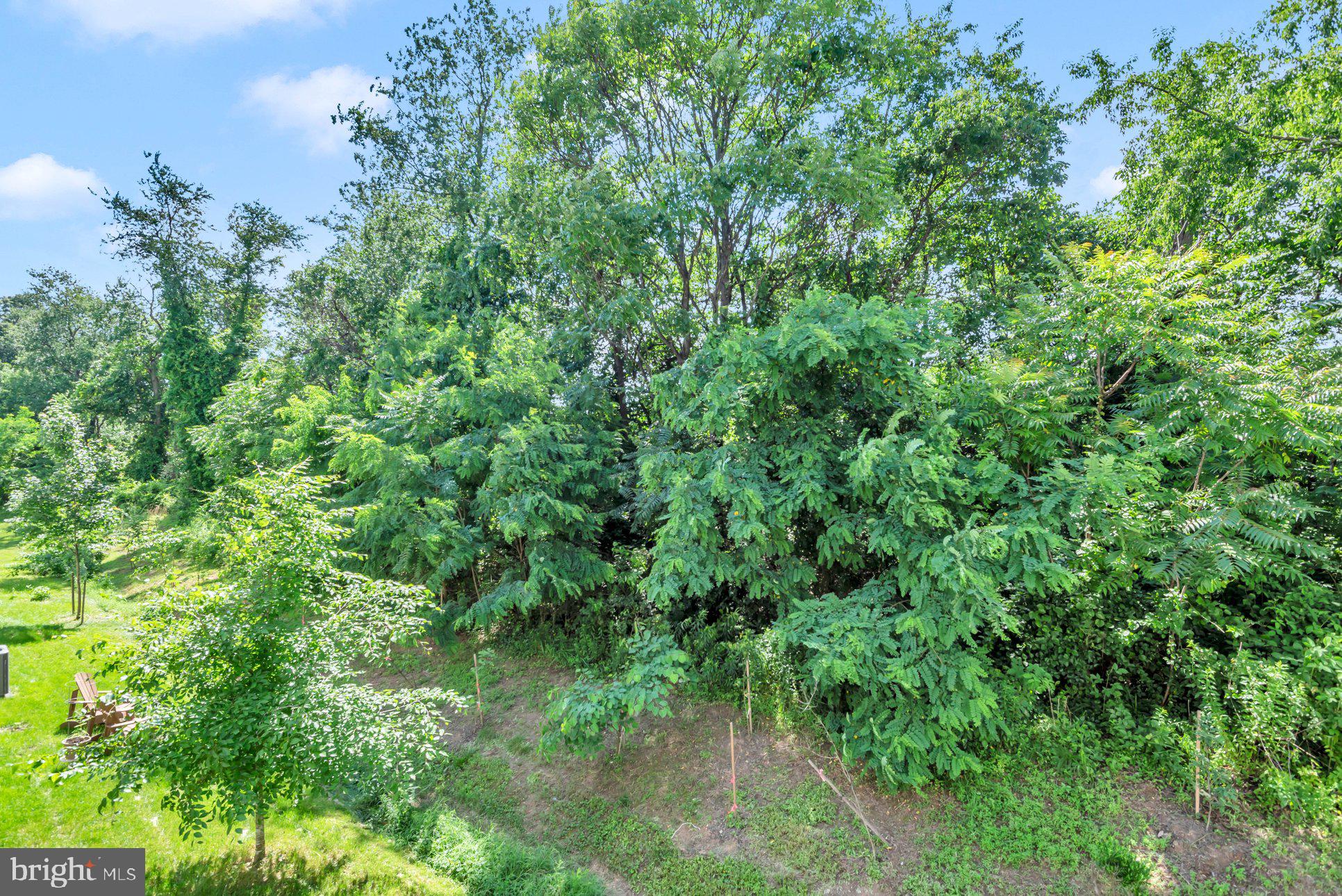 SHIPLEY HOMESTEAD - Residential