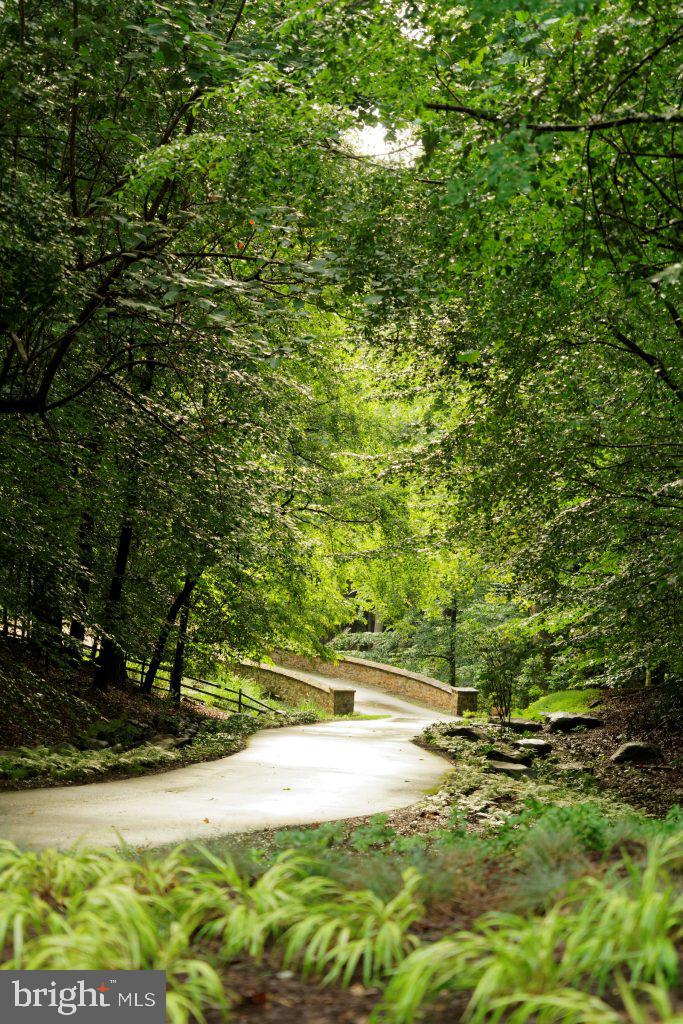 AVENEL - Residential Lease