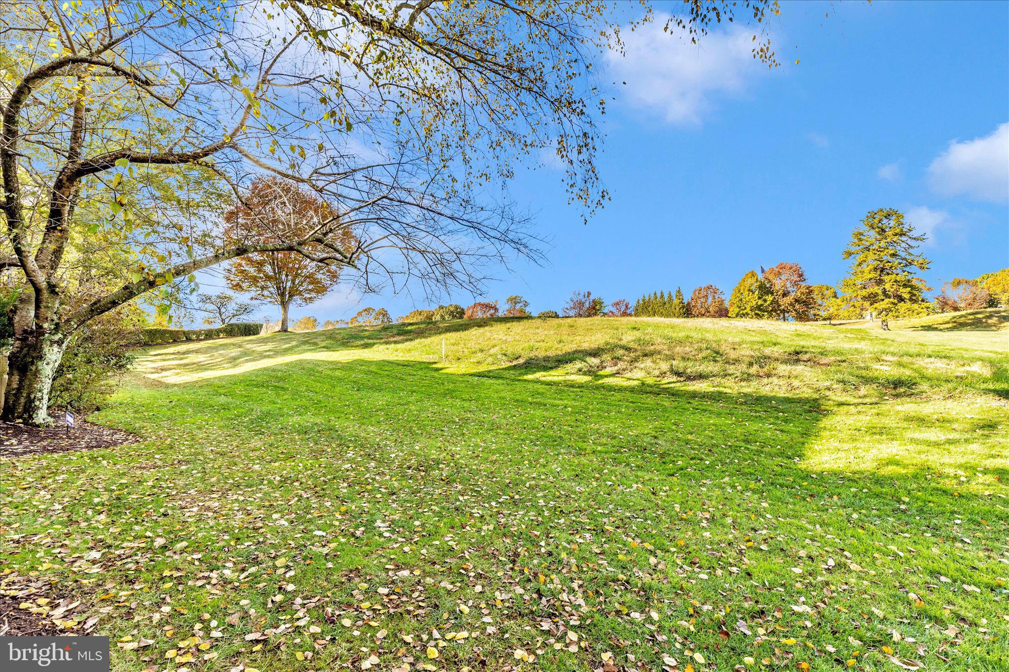 AVENEL - Residential Lease