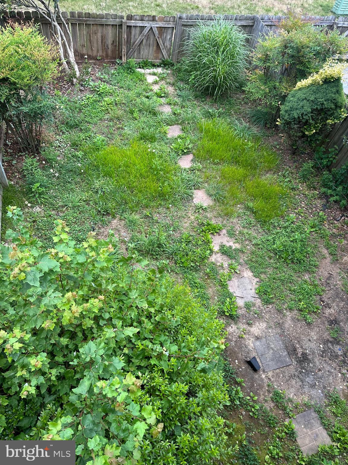 CHARLESTOWN COMMONS - Residential Lease