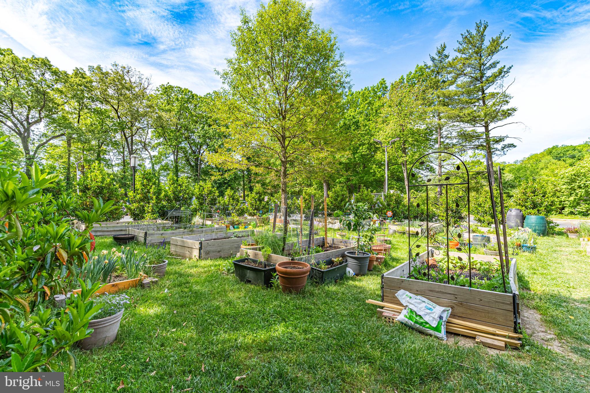TAKOMA PARK - Residential