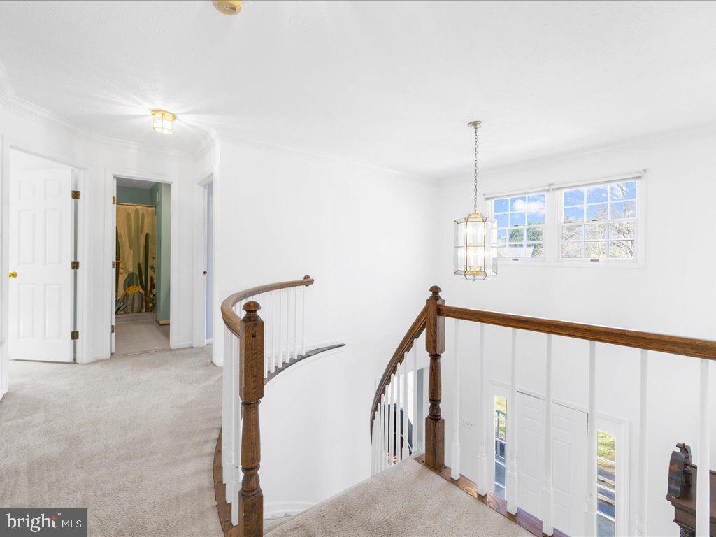 BROOKVIEW FARMS - Residential