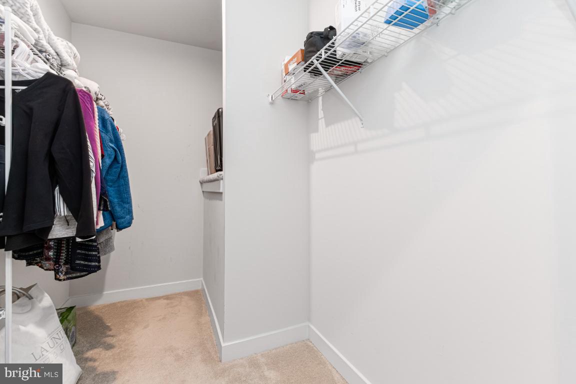 FOSTER'S GLEN - Residential