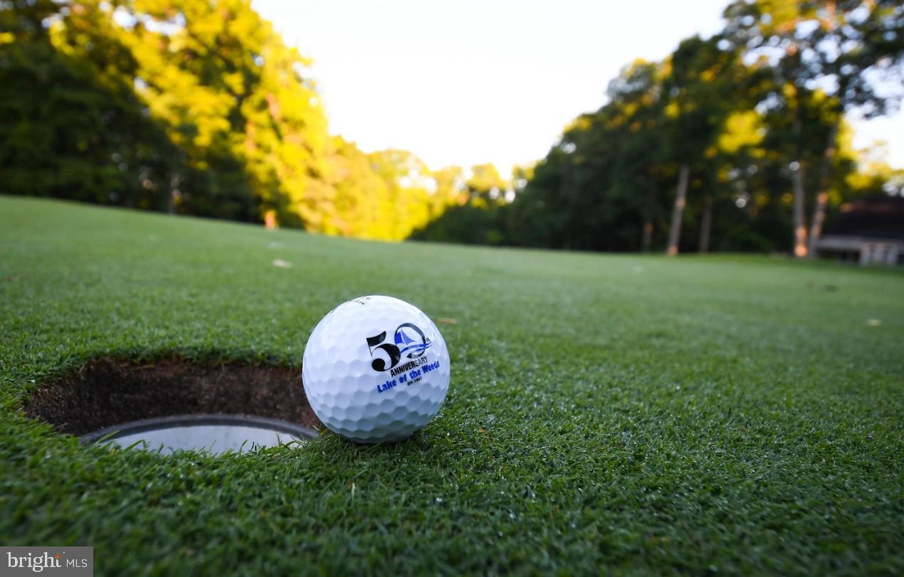 LAKE OF THE WOODS - Residential