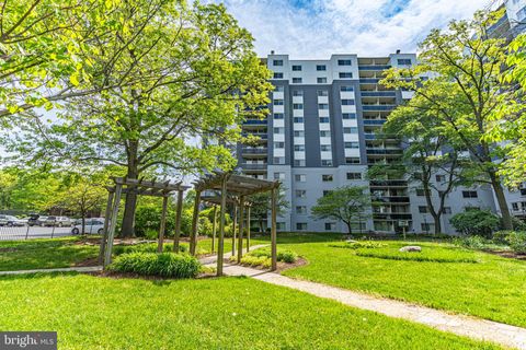 7333 NEW HAMPSHIRE AVENUE 106 TAKOMA PARK MD 20912