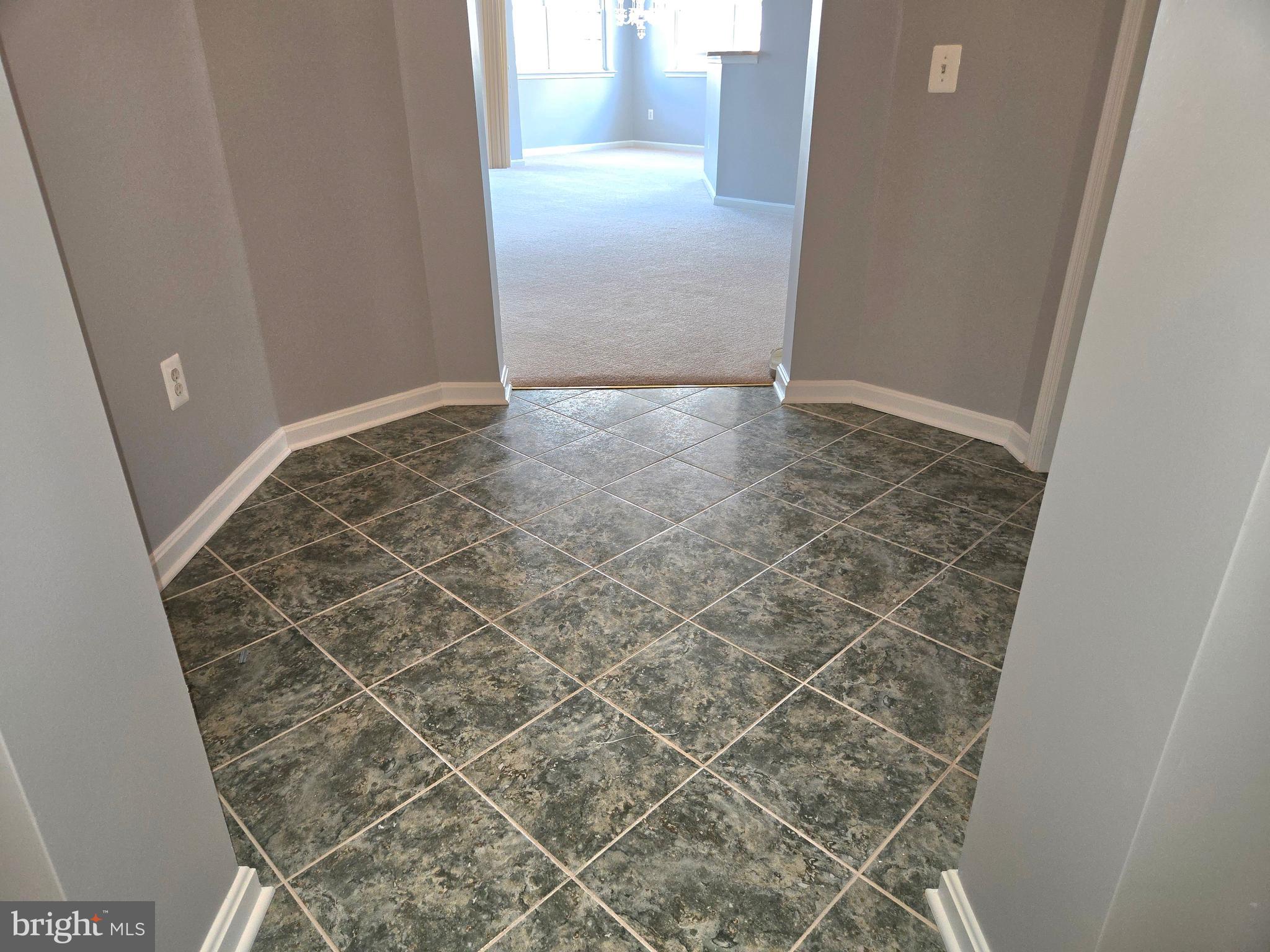 VILLAGE AT WAUGH CHAPEL - Residential