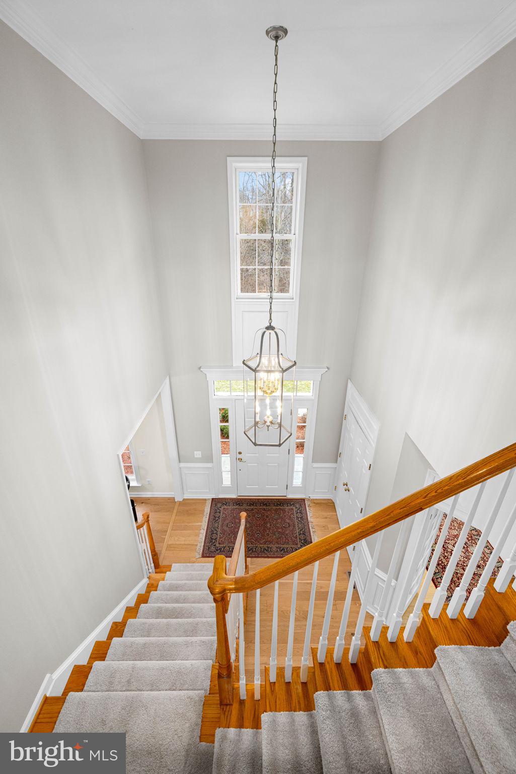 LAUREL HILL - Residential