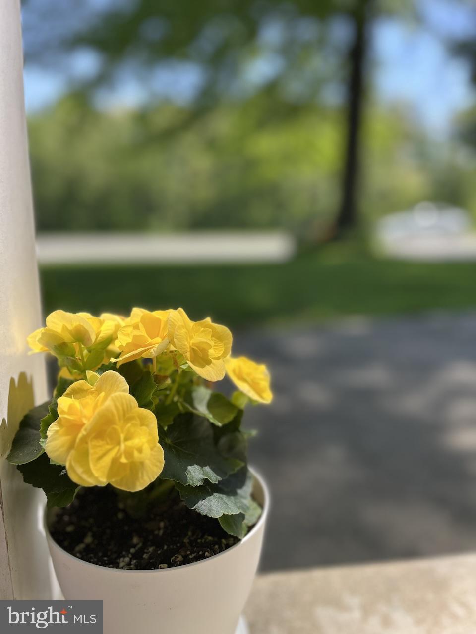 RAPHO TWP - Residential