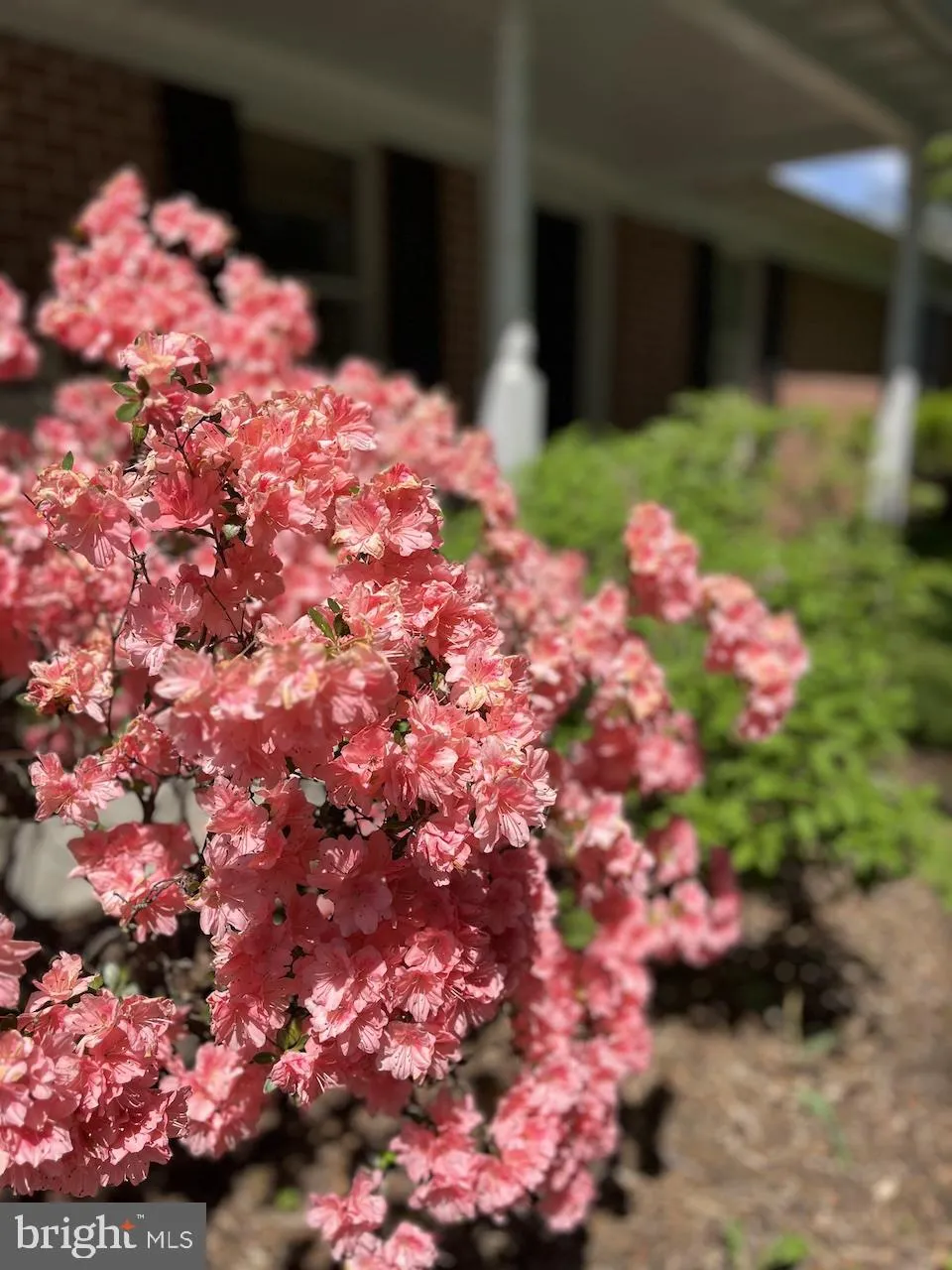 Manheim, Pennsylvania 17545, United States, 3 Bedrooms Bedrooms, ,3 BathroomsBathrooms,Residential,Pending,137693