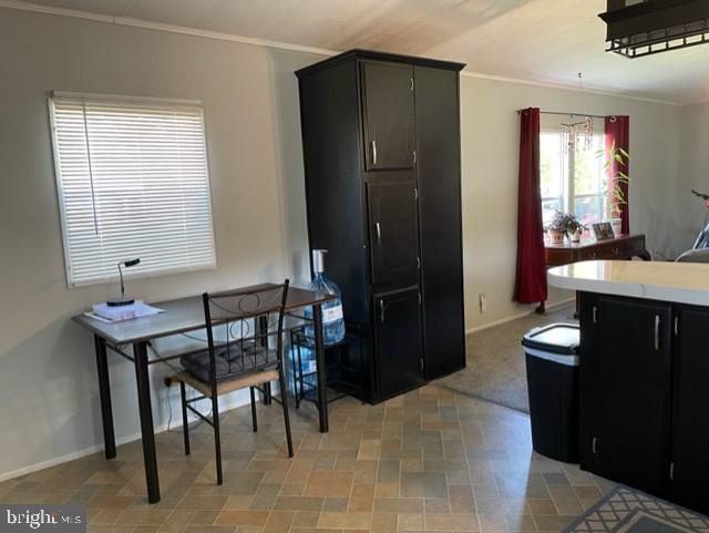 CEDARVILLE MOBILE HOME PARK - Residential