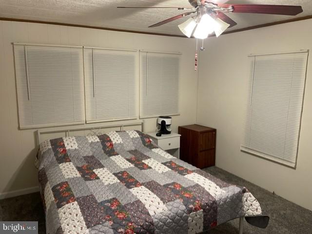 CEDARVILLE MOBILE HOME PARK - Residential