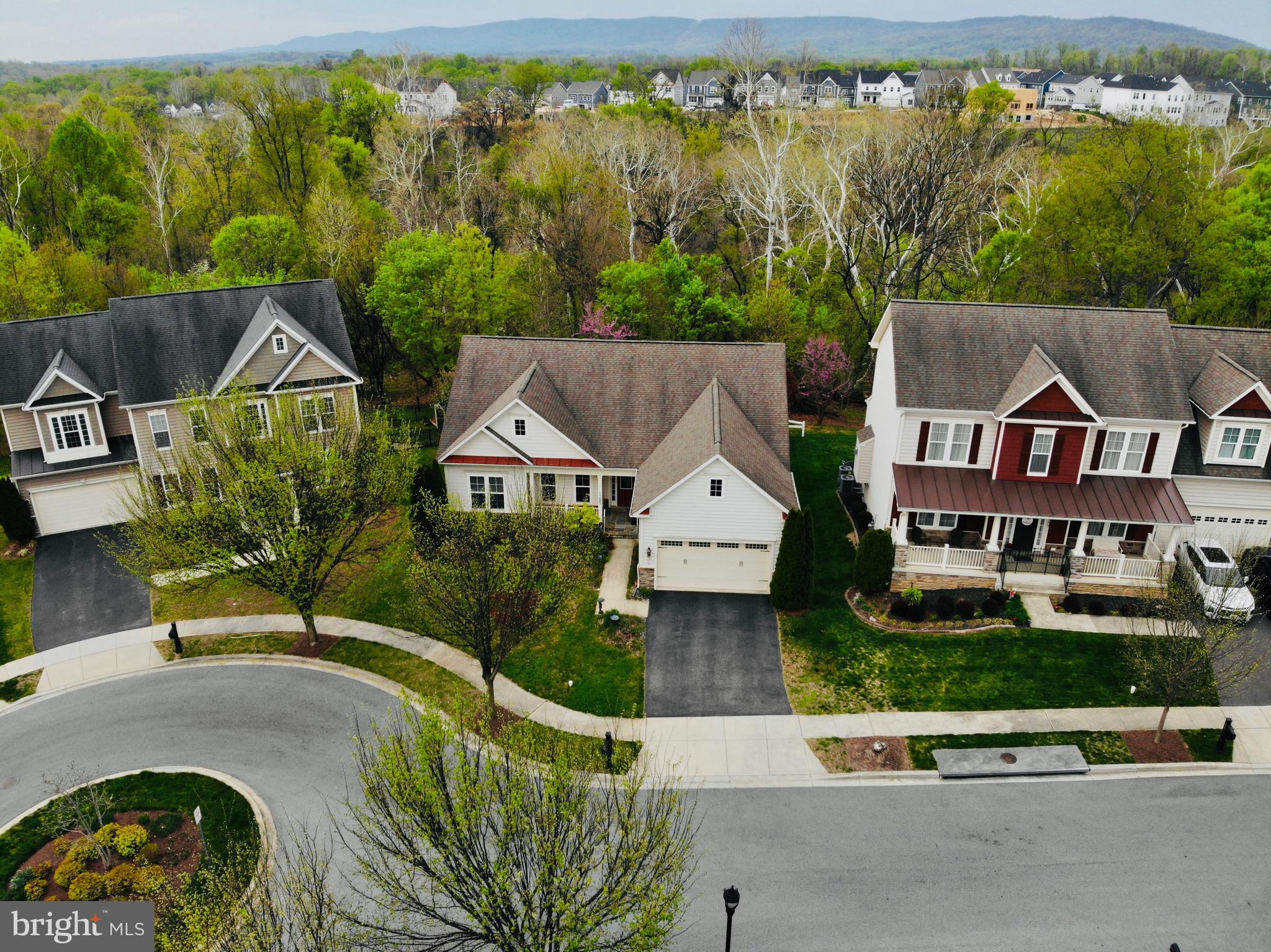 1205 VOLUNTEER DRIVE