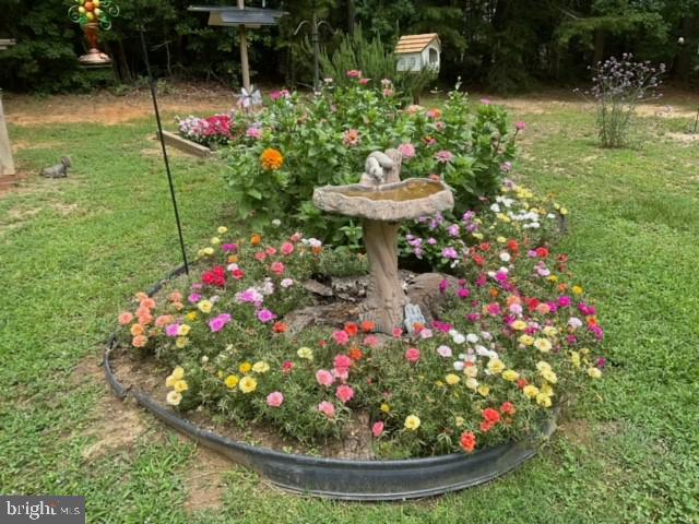 MALLARD CREEK - Residential