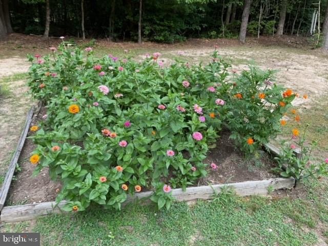 MALLARD CREEK - Residential