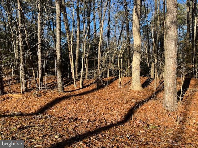 Almost 1 acre of land ready to build. This property is not in a flood zone. Choose your own builder. No non-tidal wetlands on the lot. This lot is exempt from forestry.