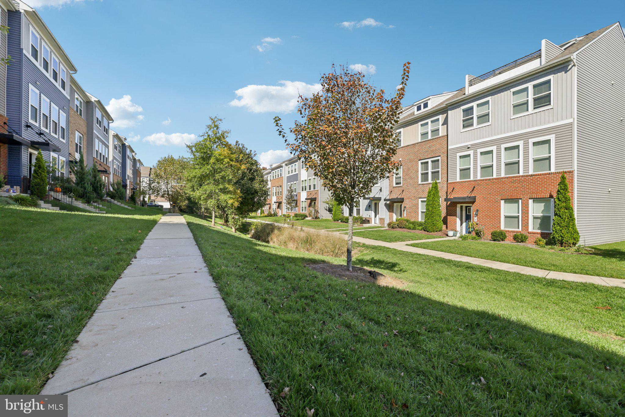 THE COVE - Residential