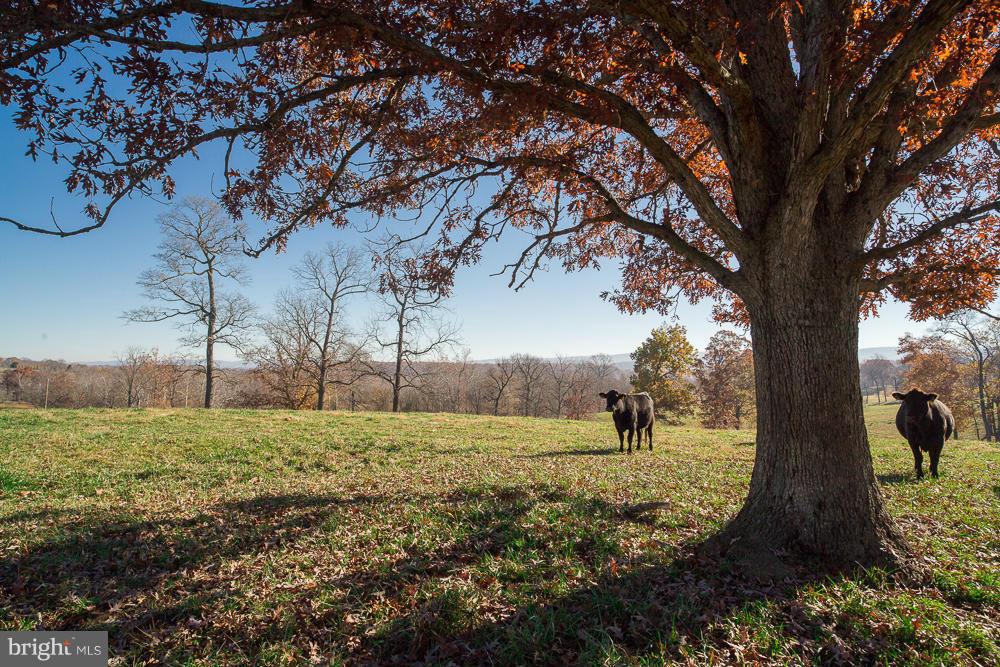 NONE AVAILABLE - Land