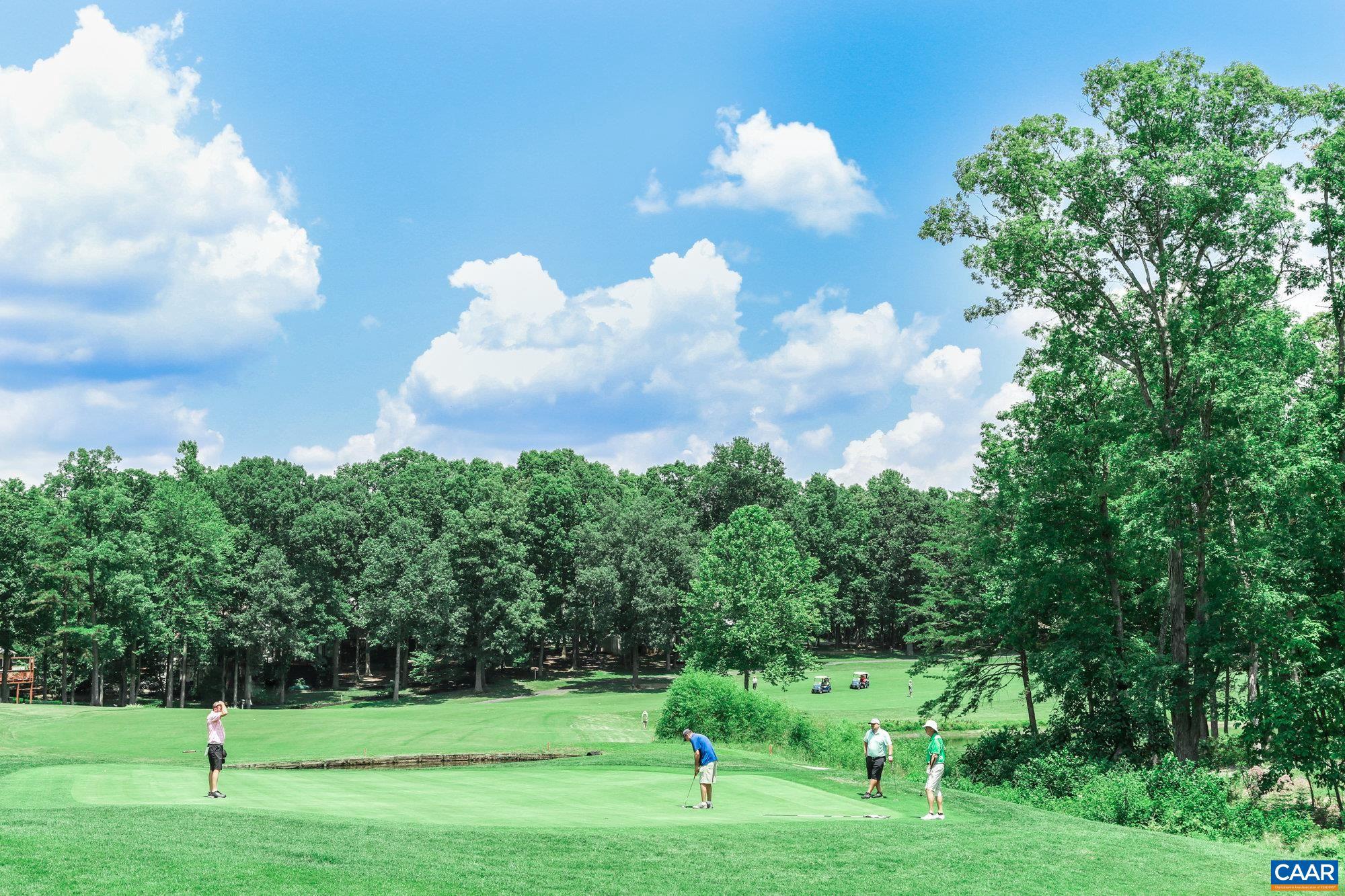 LAKE MONTICELLO - Residential