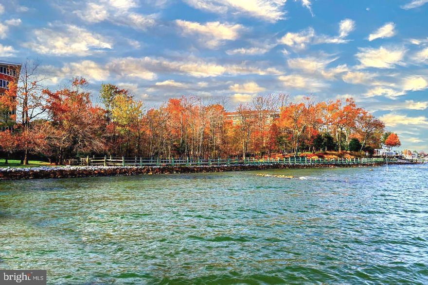 Great new Price!!       Isn't this how you always envisioned retirement!!
A premiere life of luxury overlooking the shores of the Chesapeake Bay!  Brand new hardwood flooring throughout the entire unit and complete interior painting.  Lovely end unit with extra windows that allows for wonderful natural light throughout.  Tranquil setting/views overlooking the beautiful wooded common grounds. Private Florida room can be utilized as a screened porch or enclosed for year round use.  
Monthly fee includes ALL utilities, daily meal, weekly housekeeping, concierge service, taxes, insurance, even repairs or replacement of all appliances, HVAC, plumbing/electric, nothing to do but move right in and enjoy life while all daily needs are included in the monthly fee!