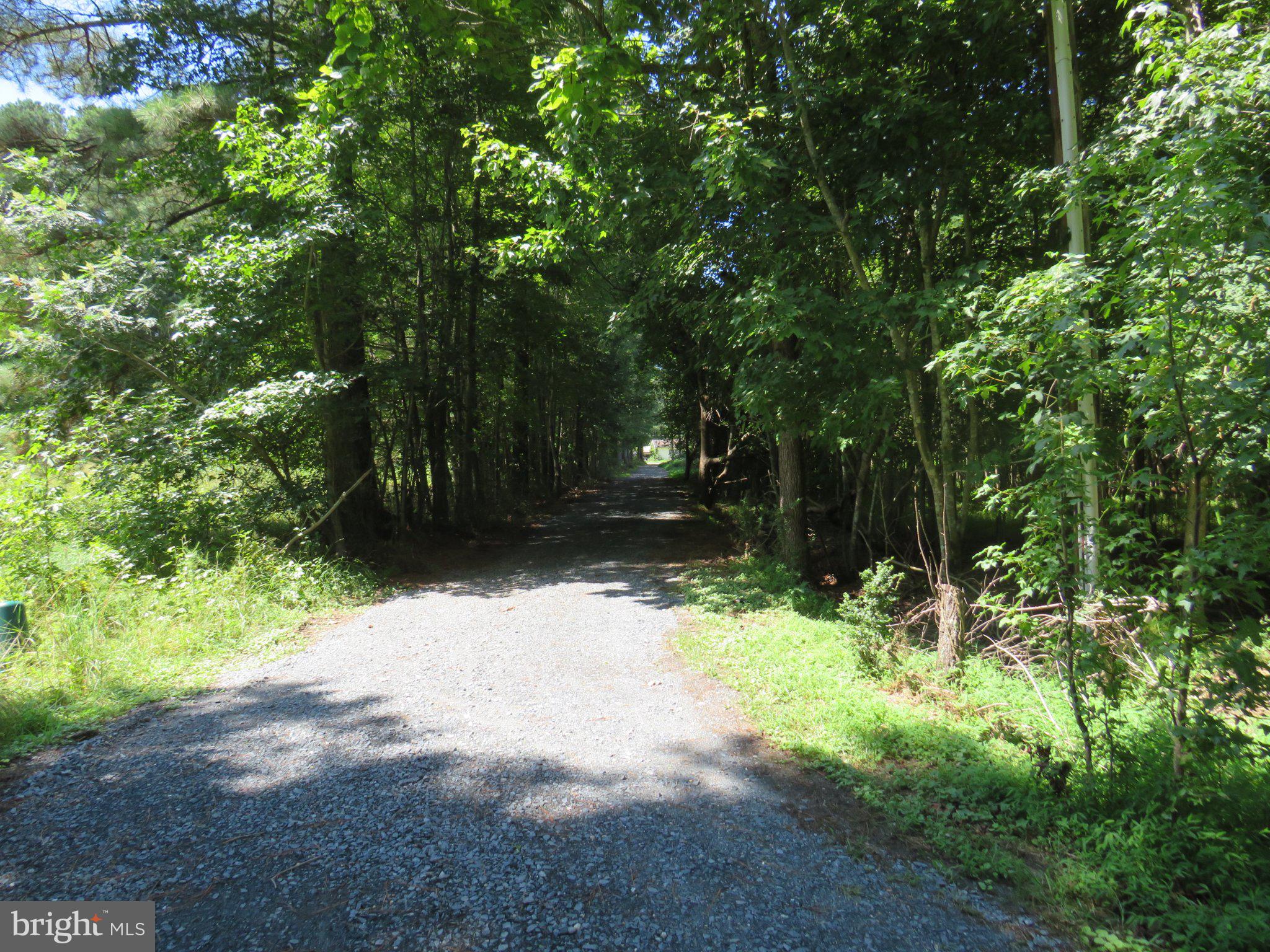 5249 TULLS ROAD
