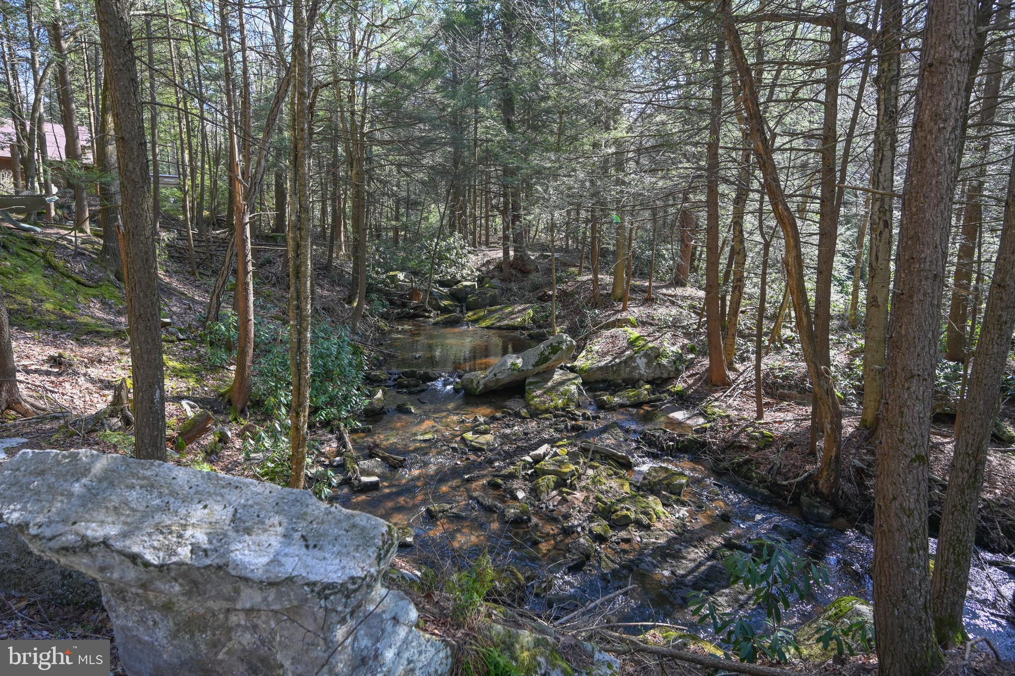 LAKE SHORE DRIVE - Residential