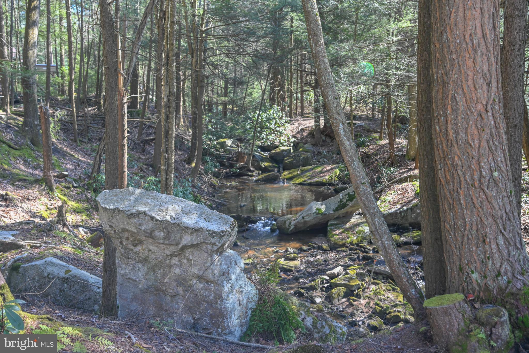 LAKE SHORE DRIVE - Residential
