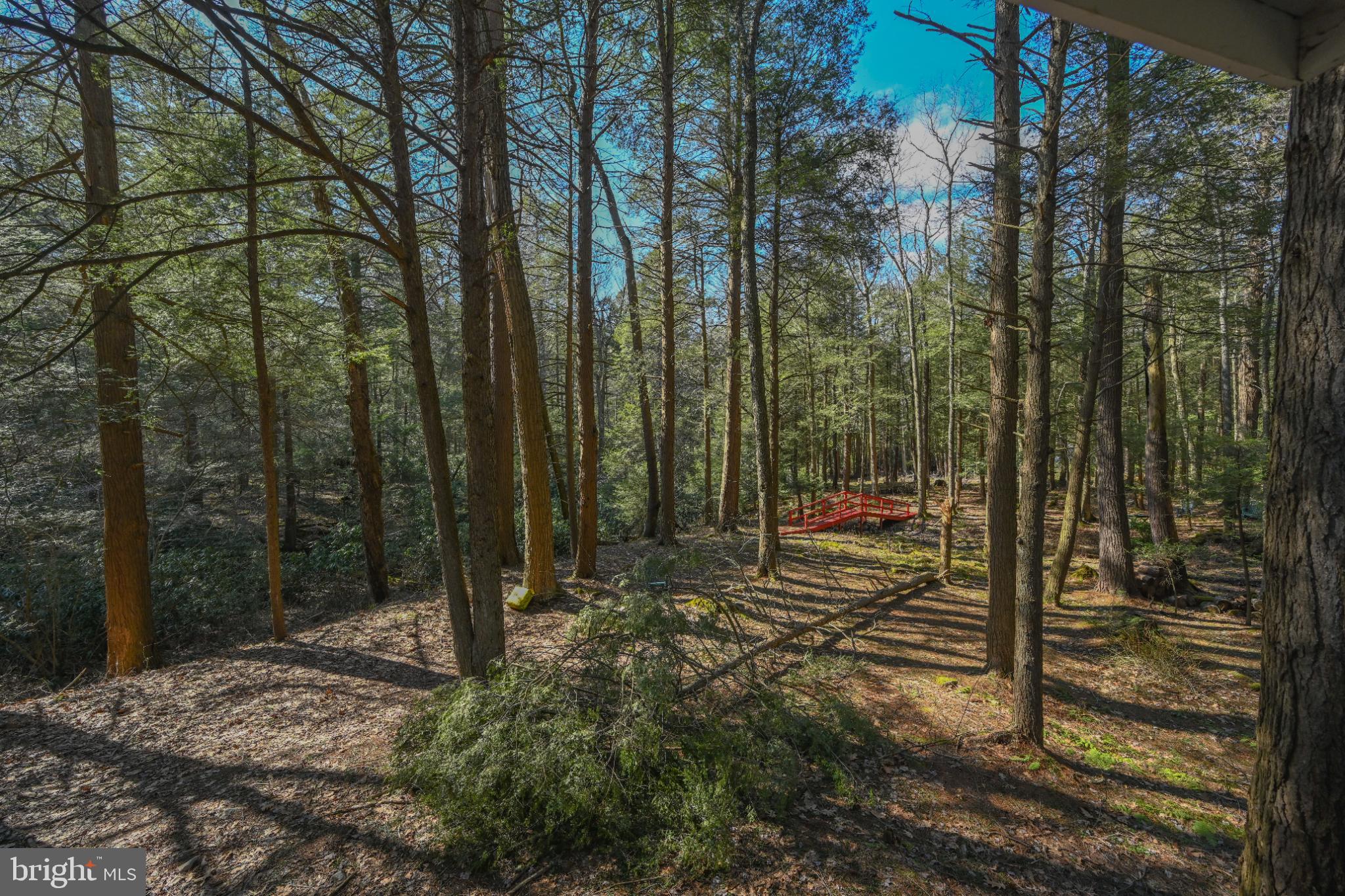 LAKE SHORE DRIVE - Residential