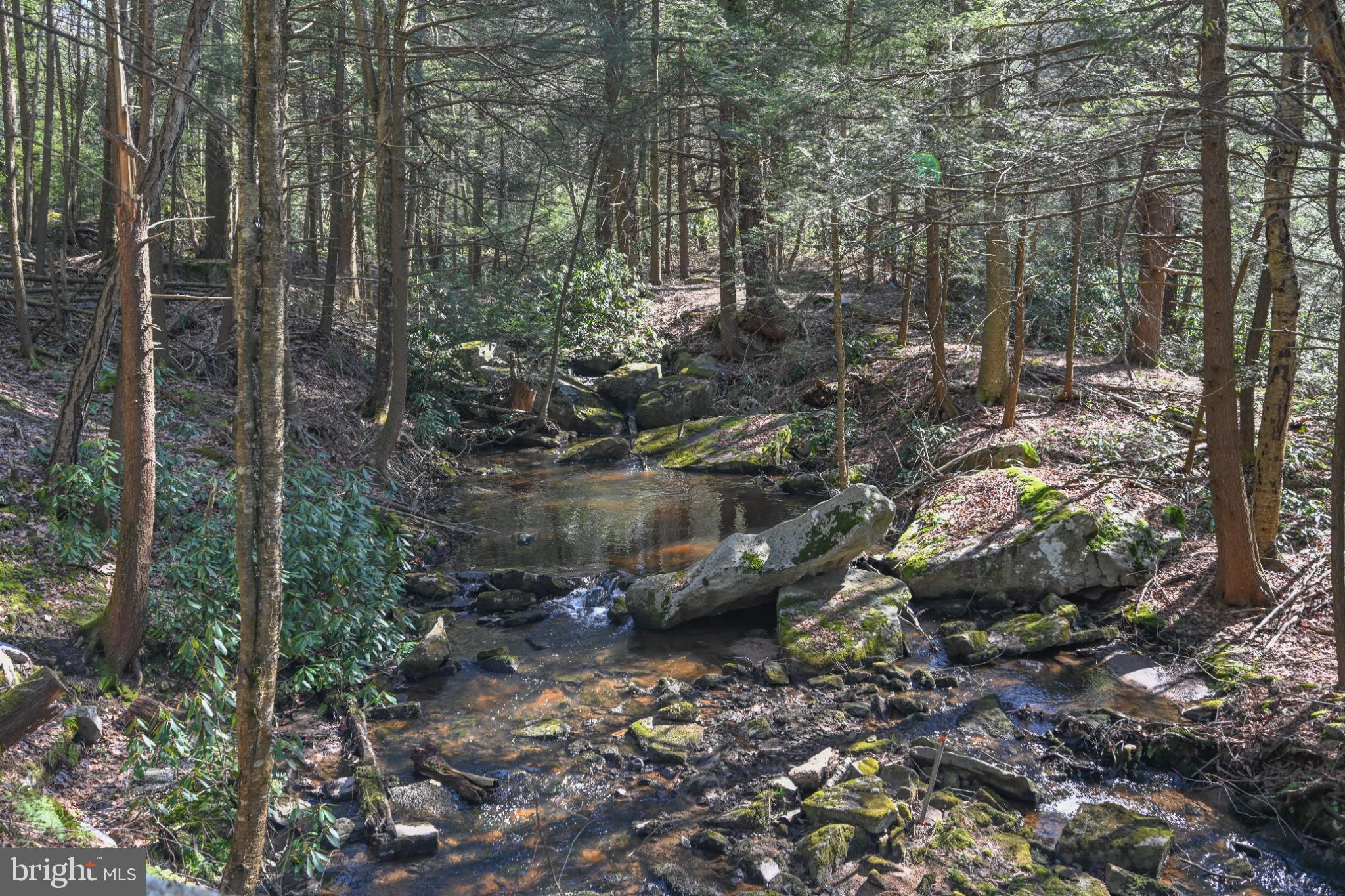 LAKE SHORE DRIVE - Residential