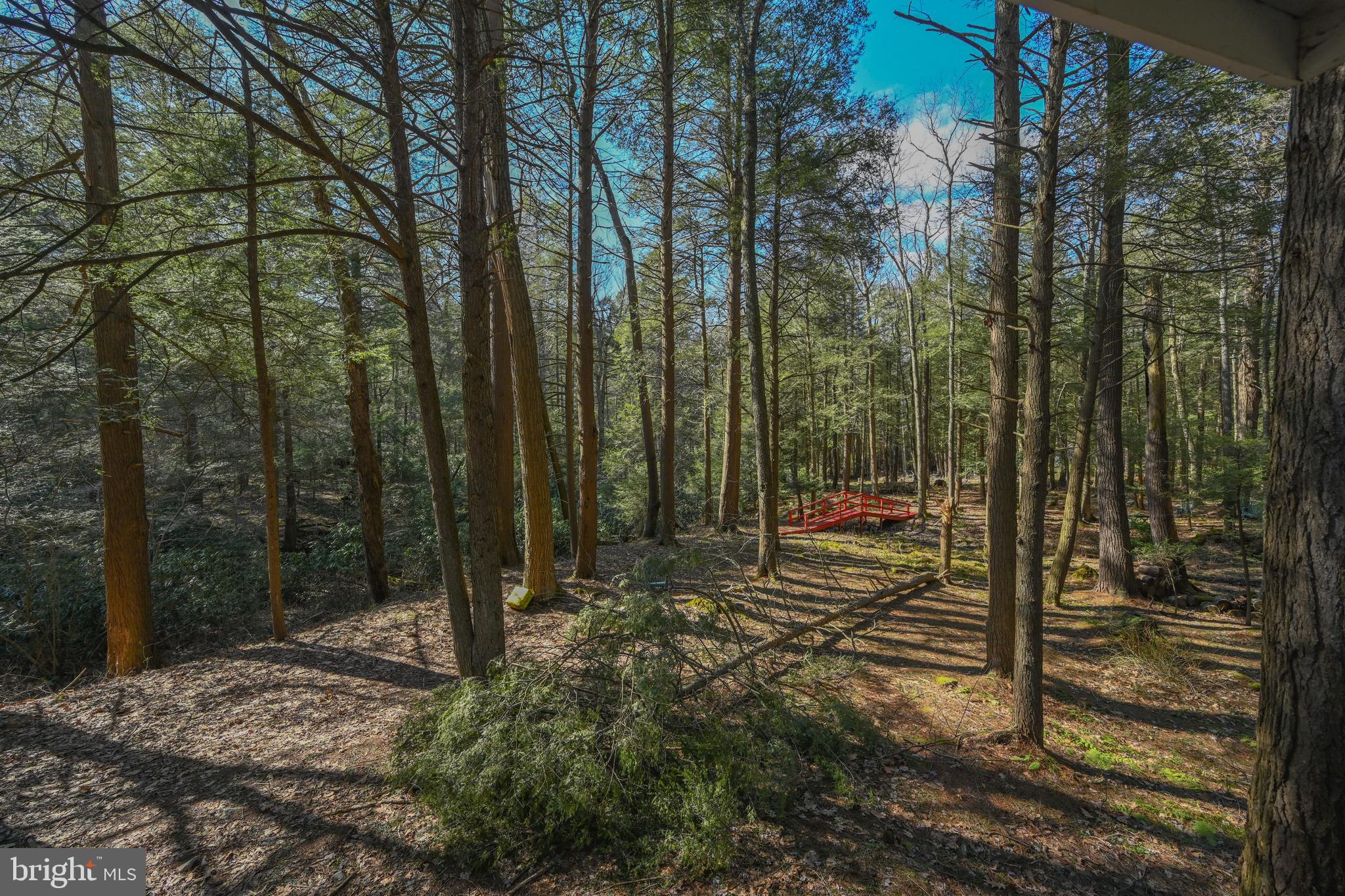 LAKE SHORE DRIVE - Residential