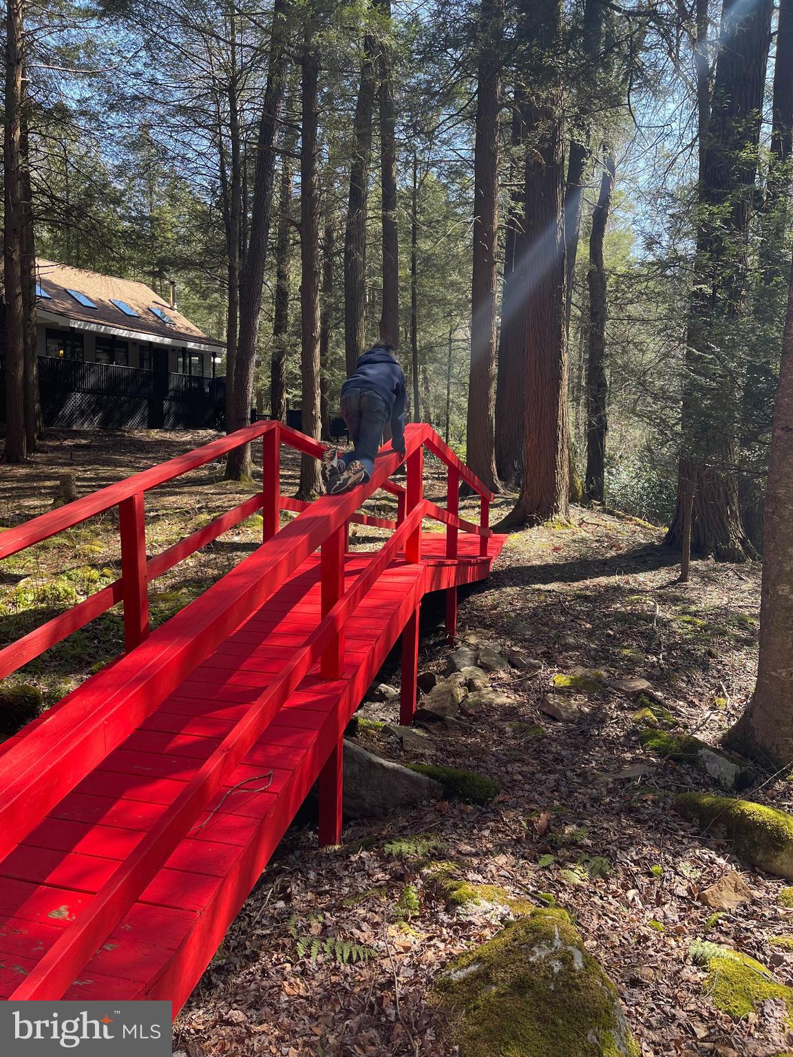 LAKE SHORE DRIVE - Residential