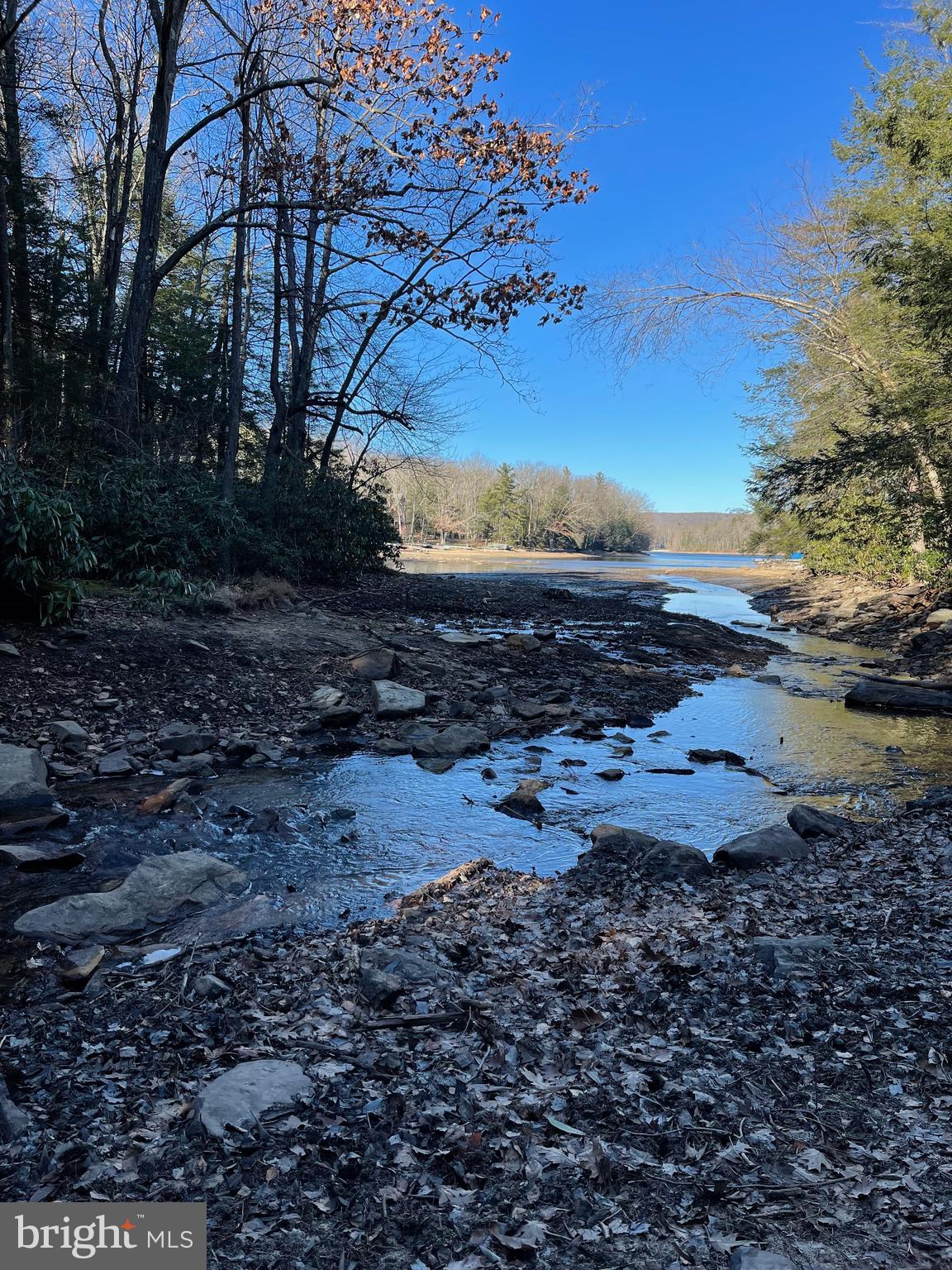 LAKE SHORE DRIVE - Residential