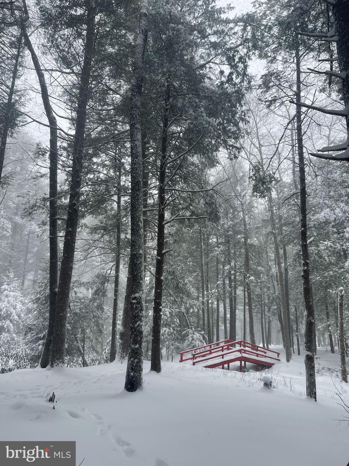 LAKE SHORE DRIVE - Residential
