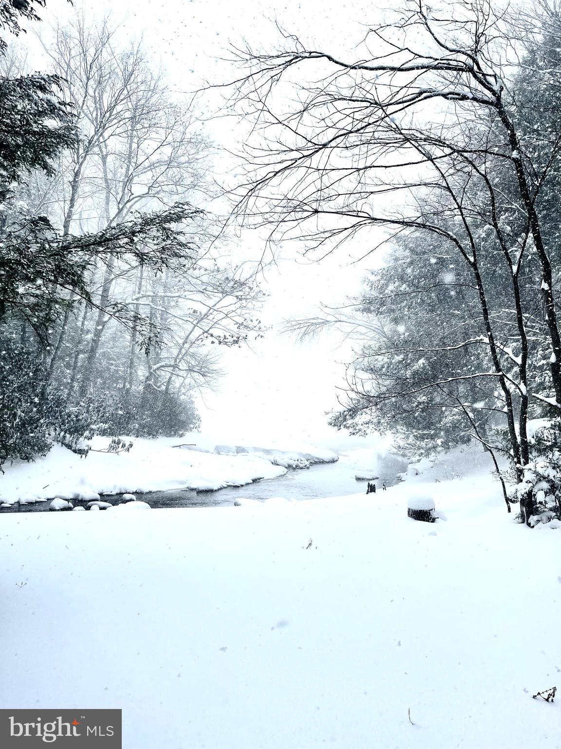 LAKE SHORE DRIVE - Residential