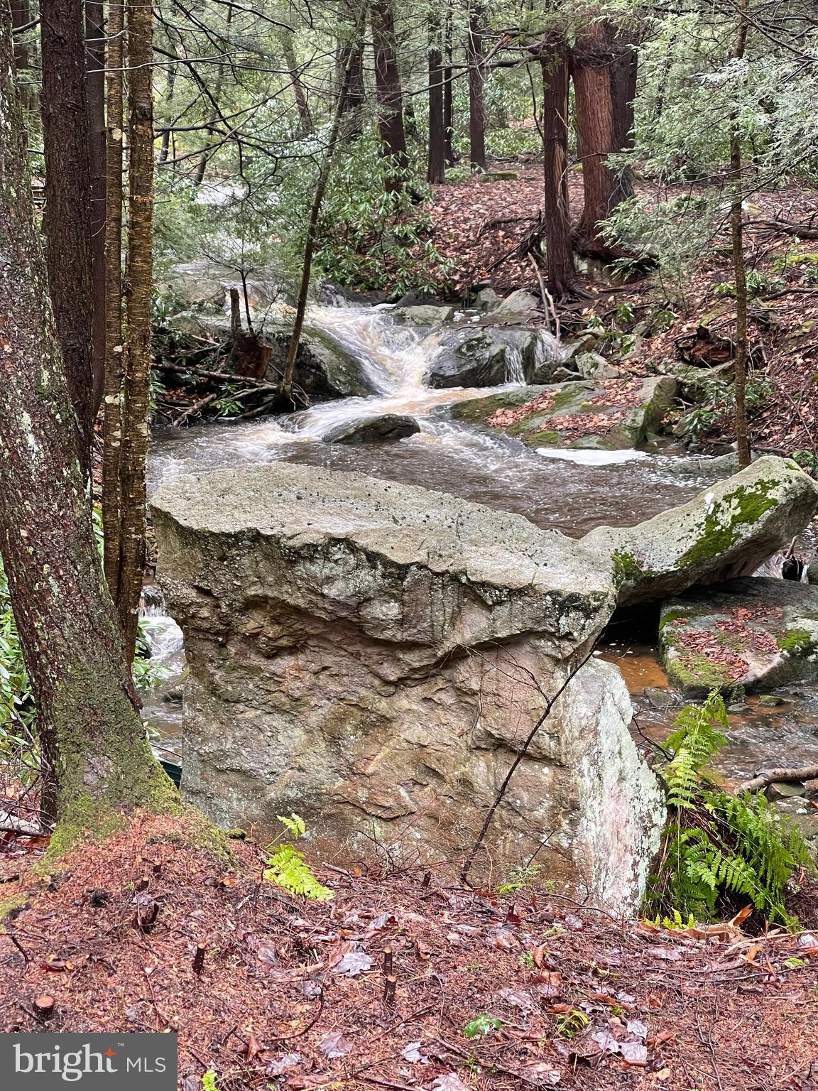 LAKE SHORE DRIVE - Residential