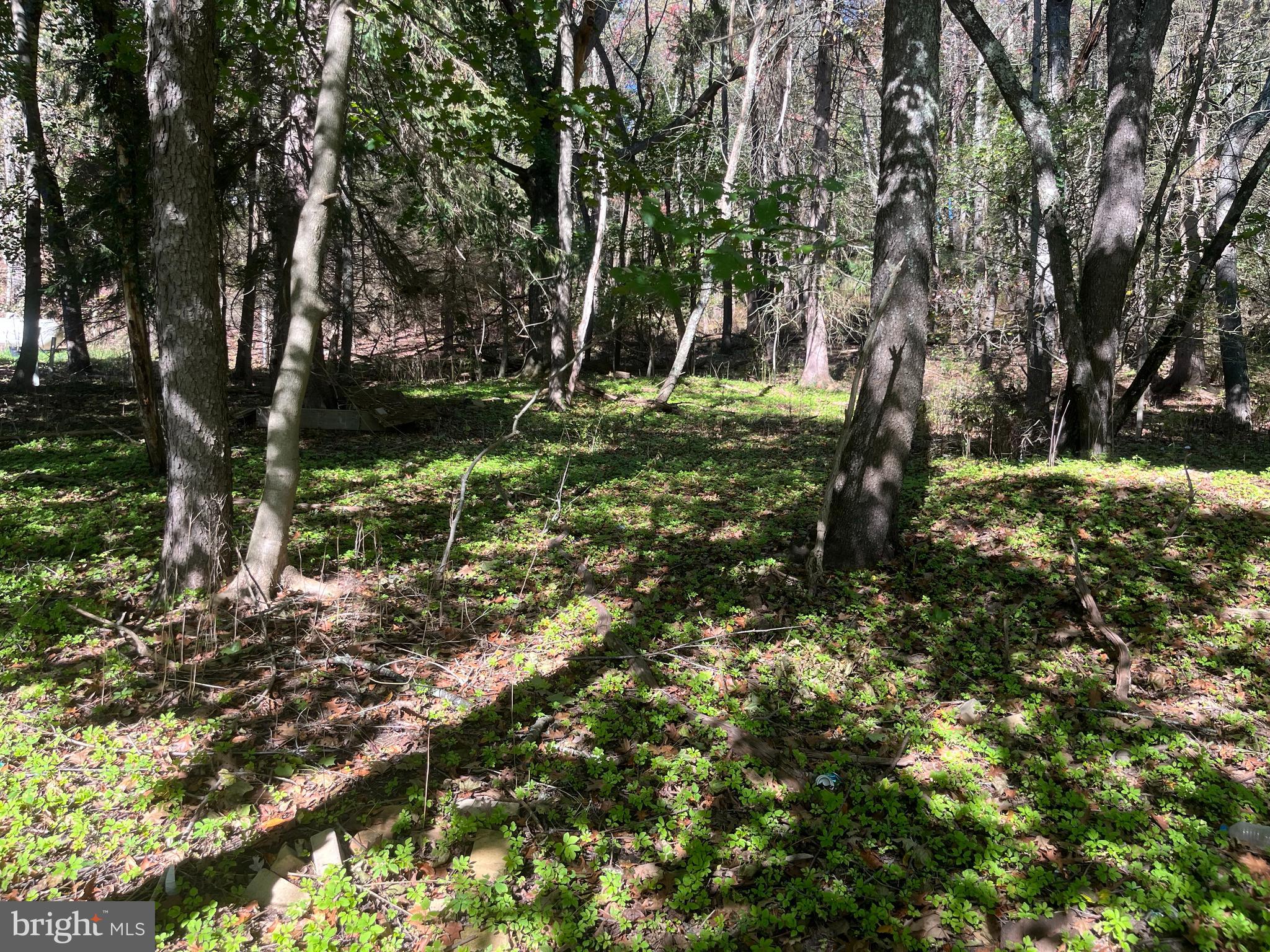 If you are looking for an affordable building lot located in the beautiful town of Oakland, this is it! This .54-acre lot is just steps to downtown Oakland, and minutes to restaurants, shopping, and grocery stores. Offering public water and sewer, the possibilities are endless.