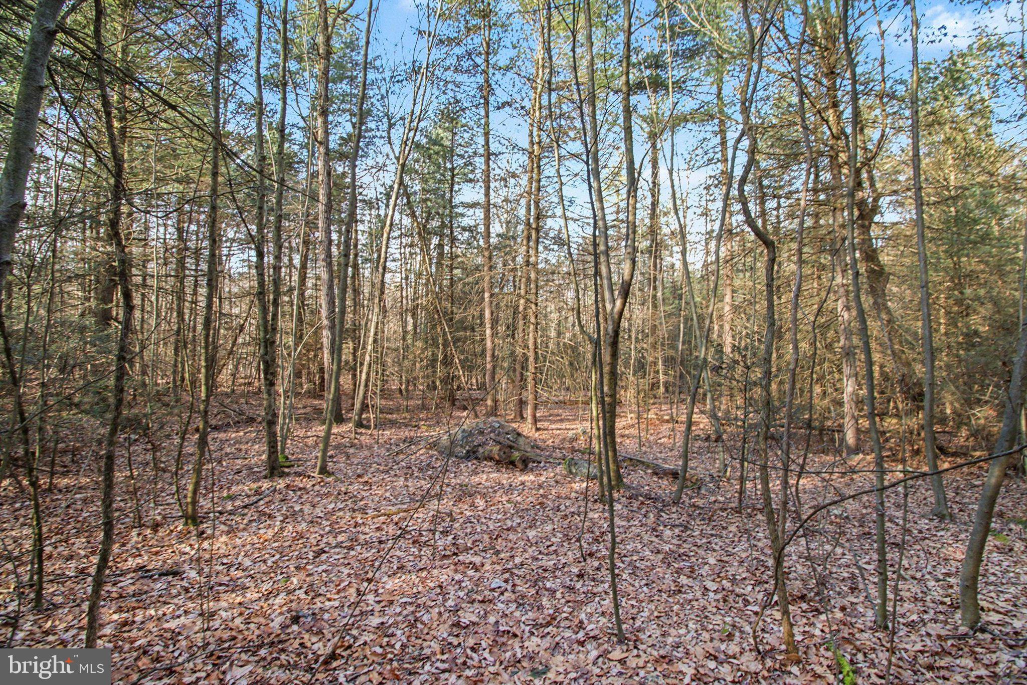 0 HICKORY RIDGE ROAD