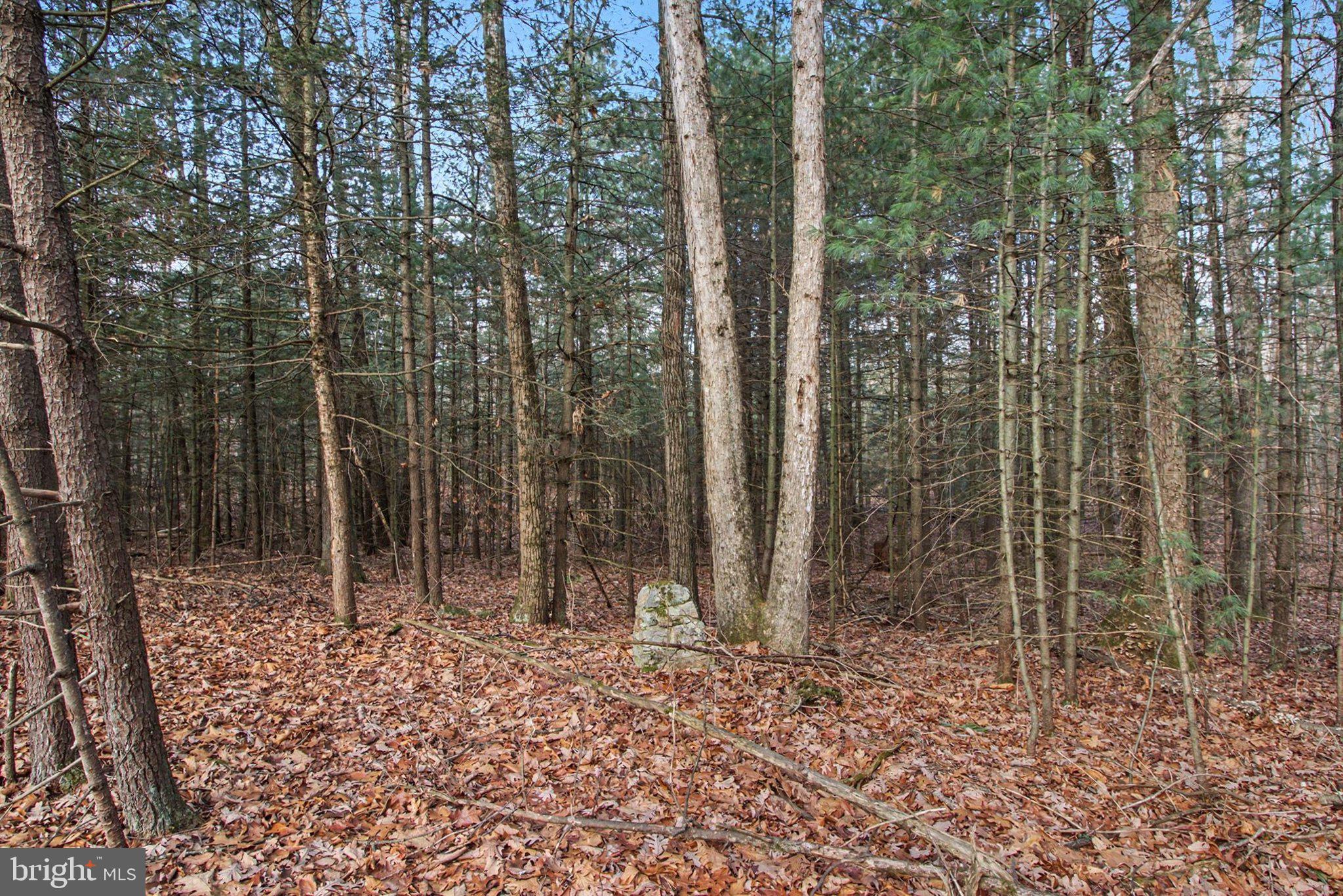 0 HICKORY RIDGE ROAD