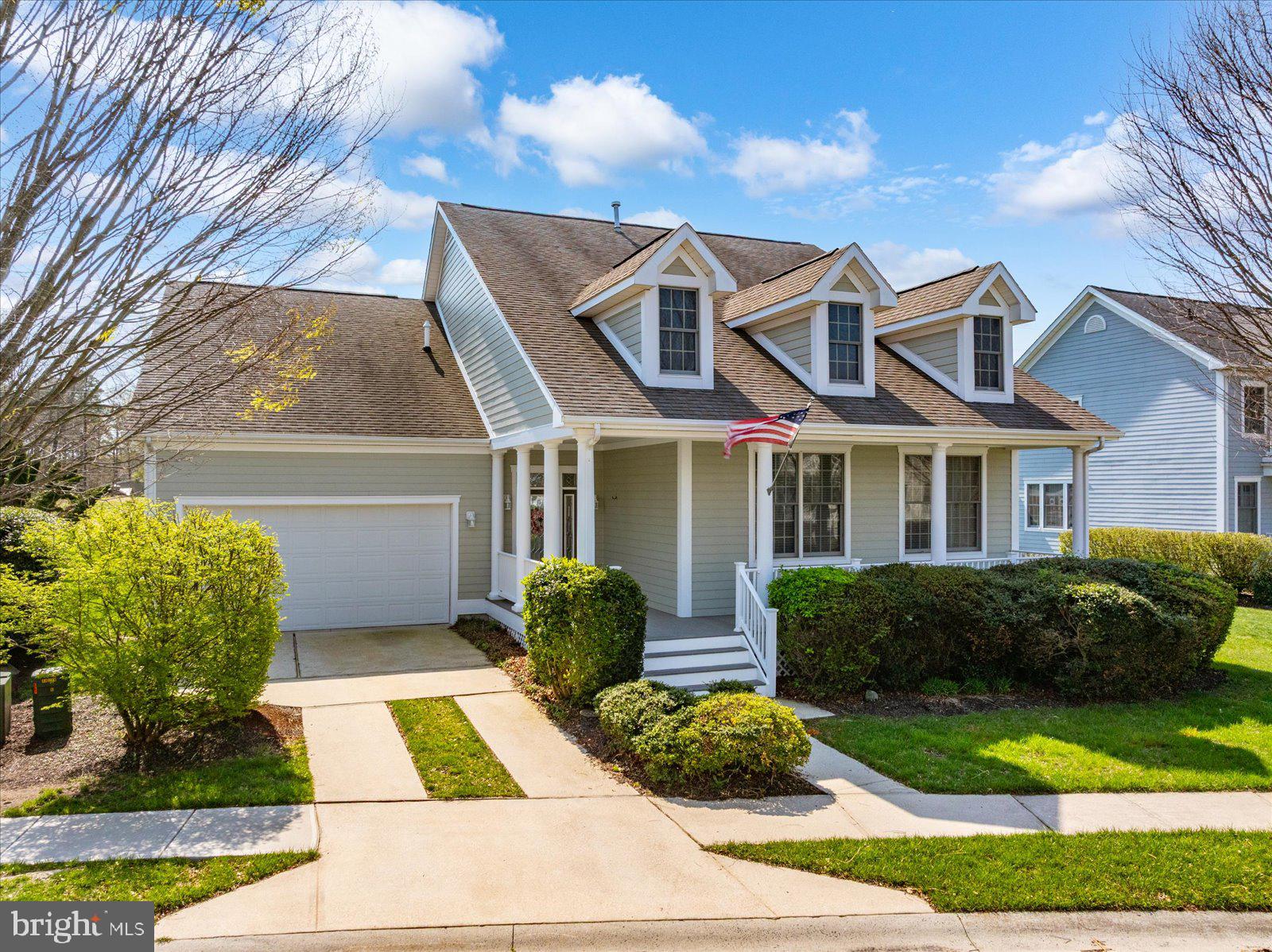 35 TULIP POPLAR TURN