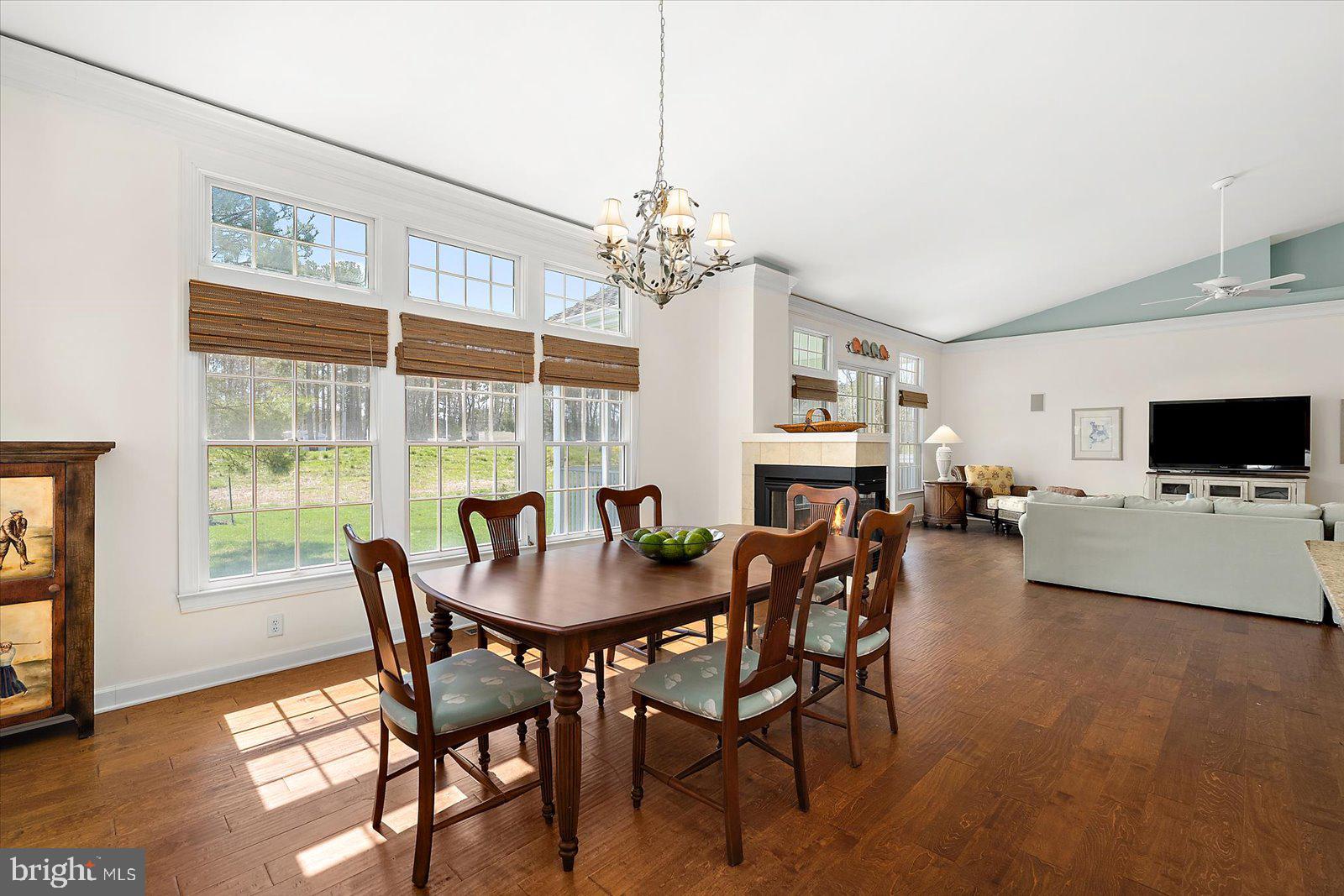 BEAR TRAP - Residential
